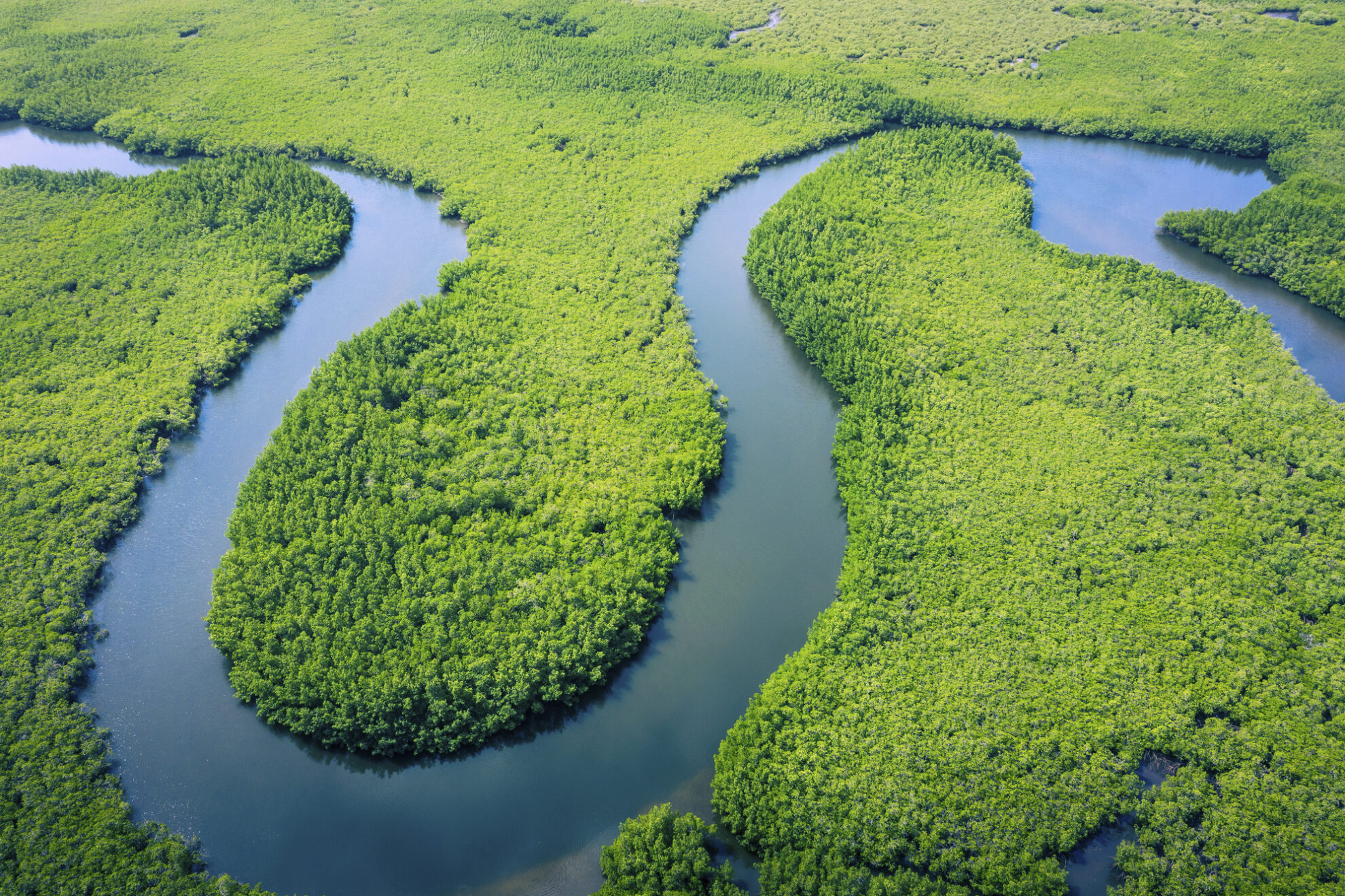 Amazonas