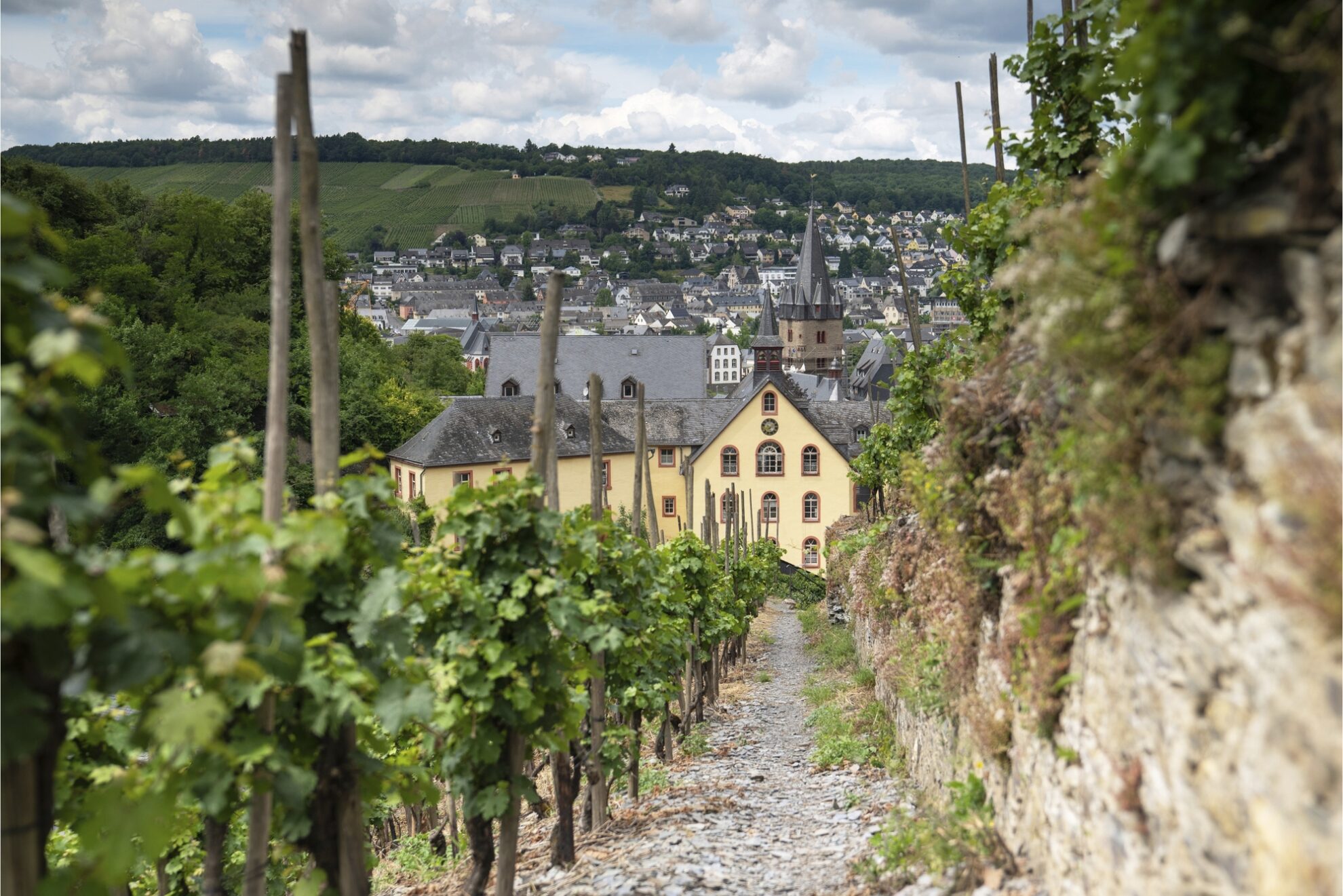 Bernkastel Kues, Moselsteig