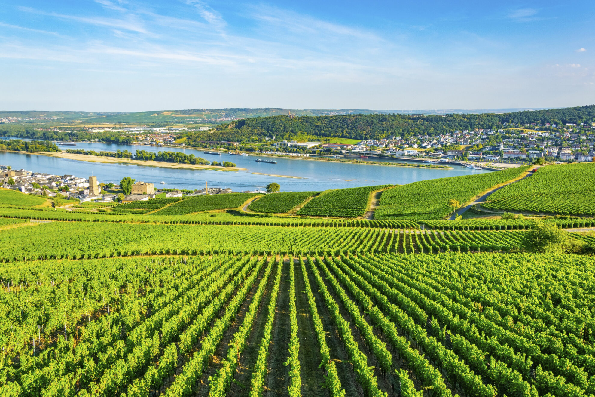 Bingen