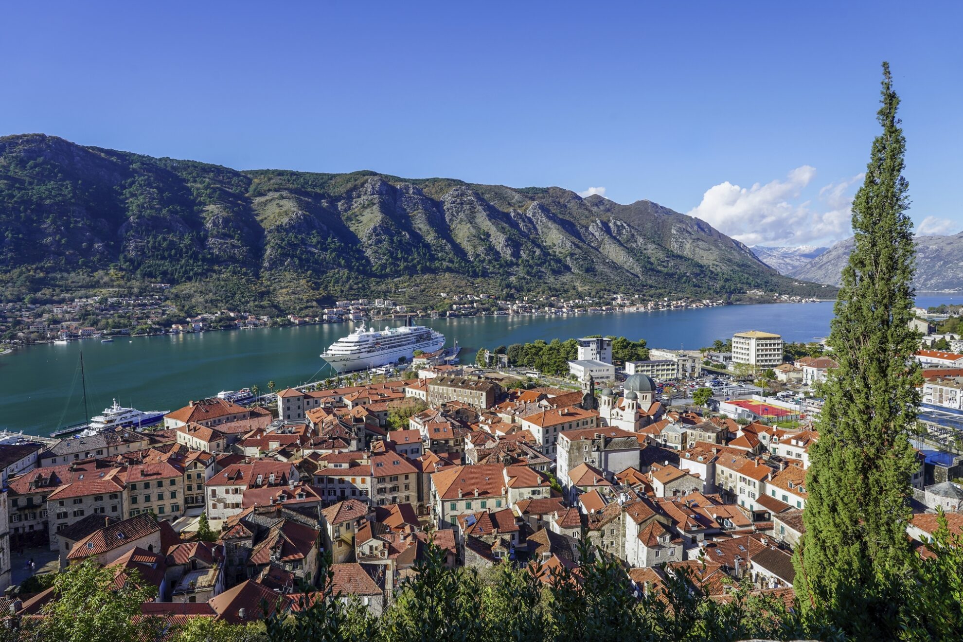 MS Amadea in Kotor