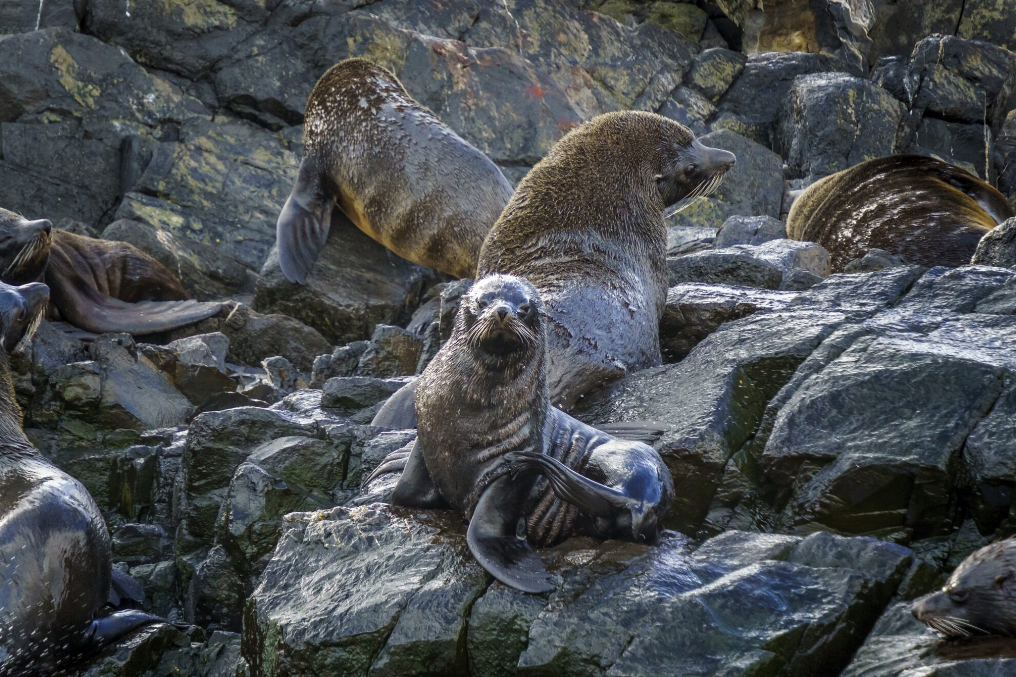 Ushuaia