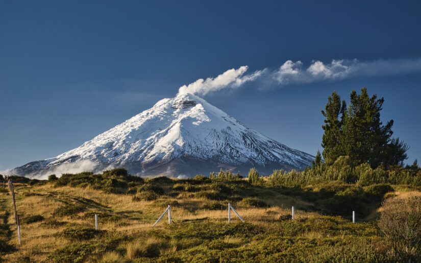 Ecuador Kreuzfahrt zeigt unvergessliche Naturwunder mit Phoenix Reisen!