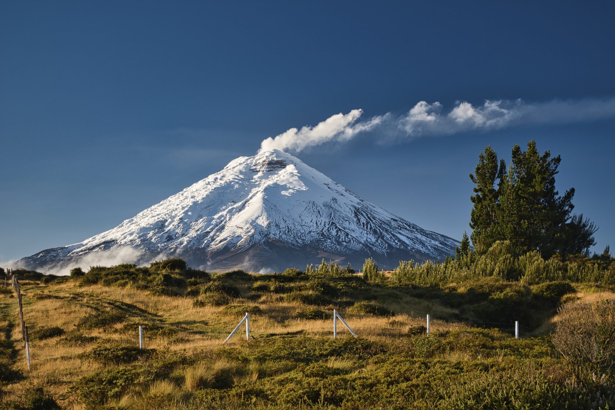 Vulkan Cotopaxi, Ecuador