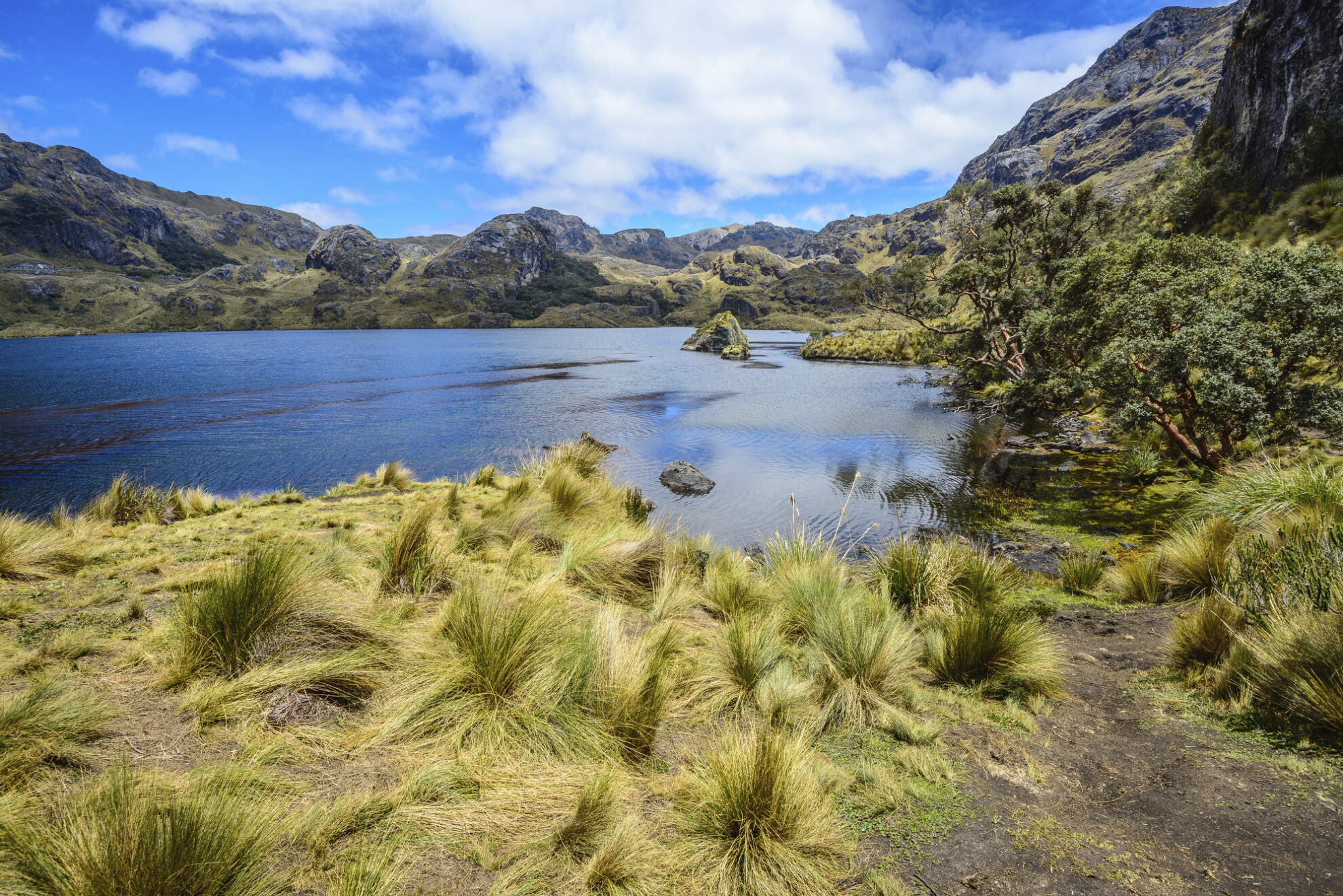 Toreadora See, Cajas Nationalpark, Ecuador