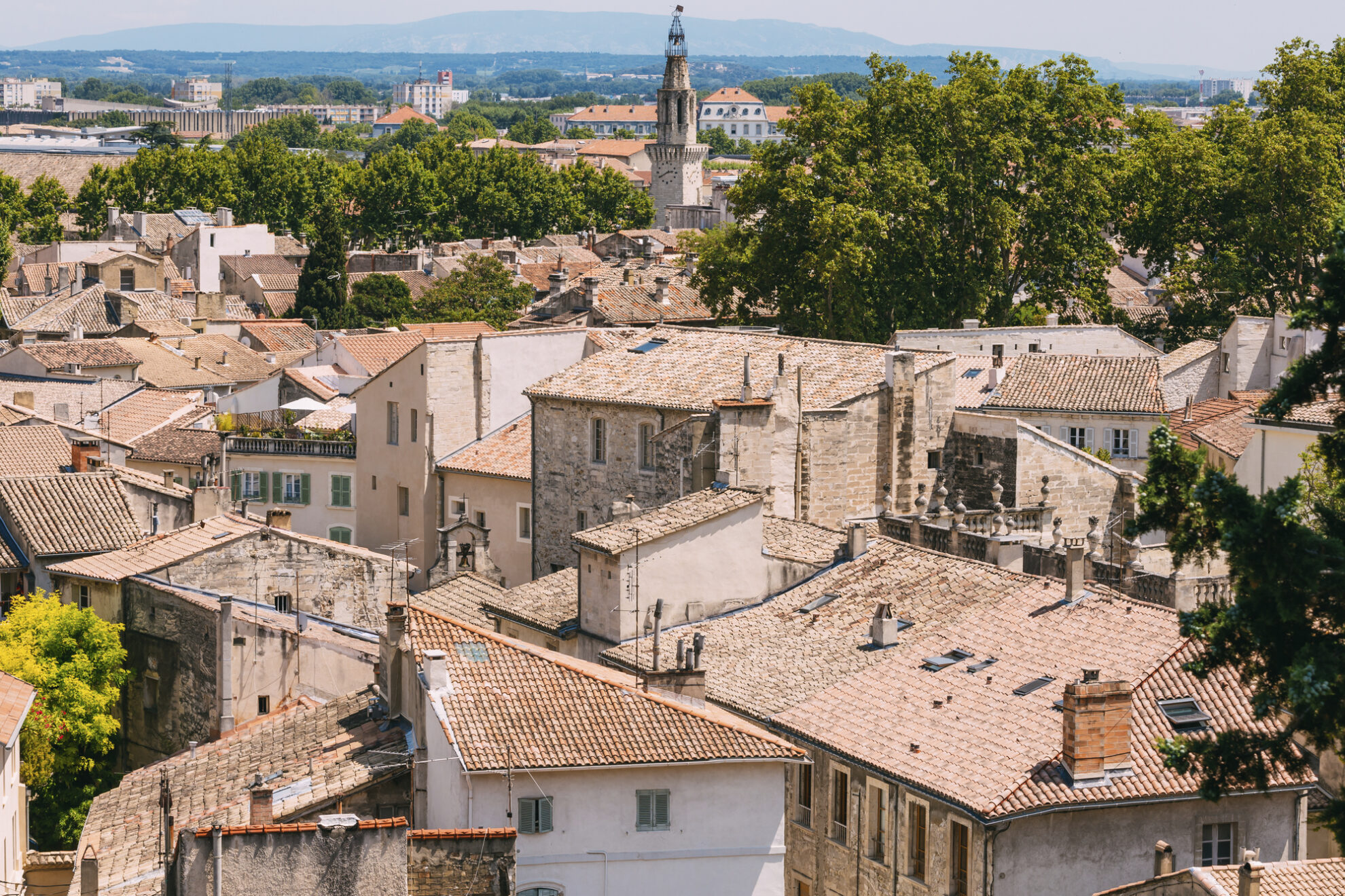 Avignon