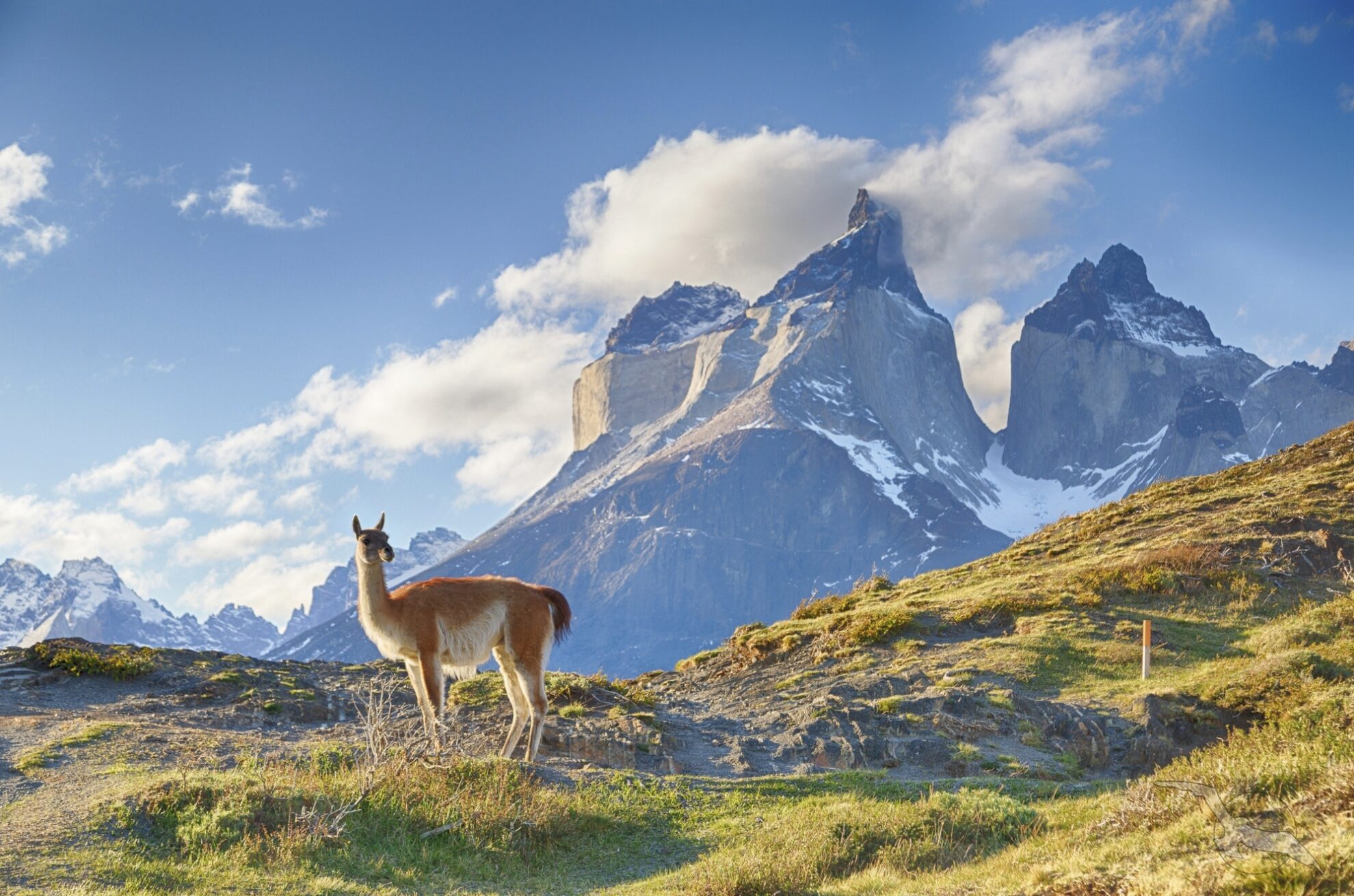 Patagonien