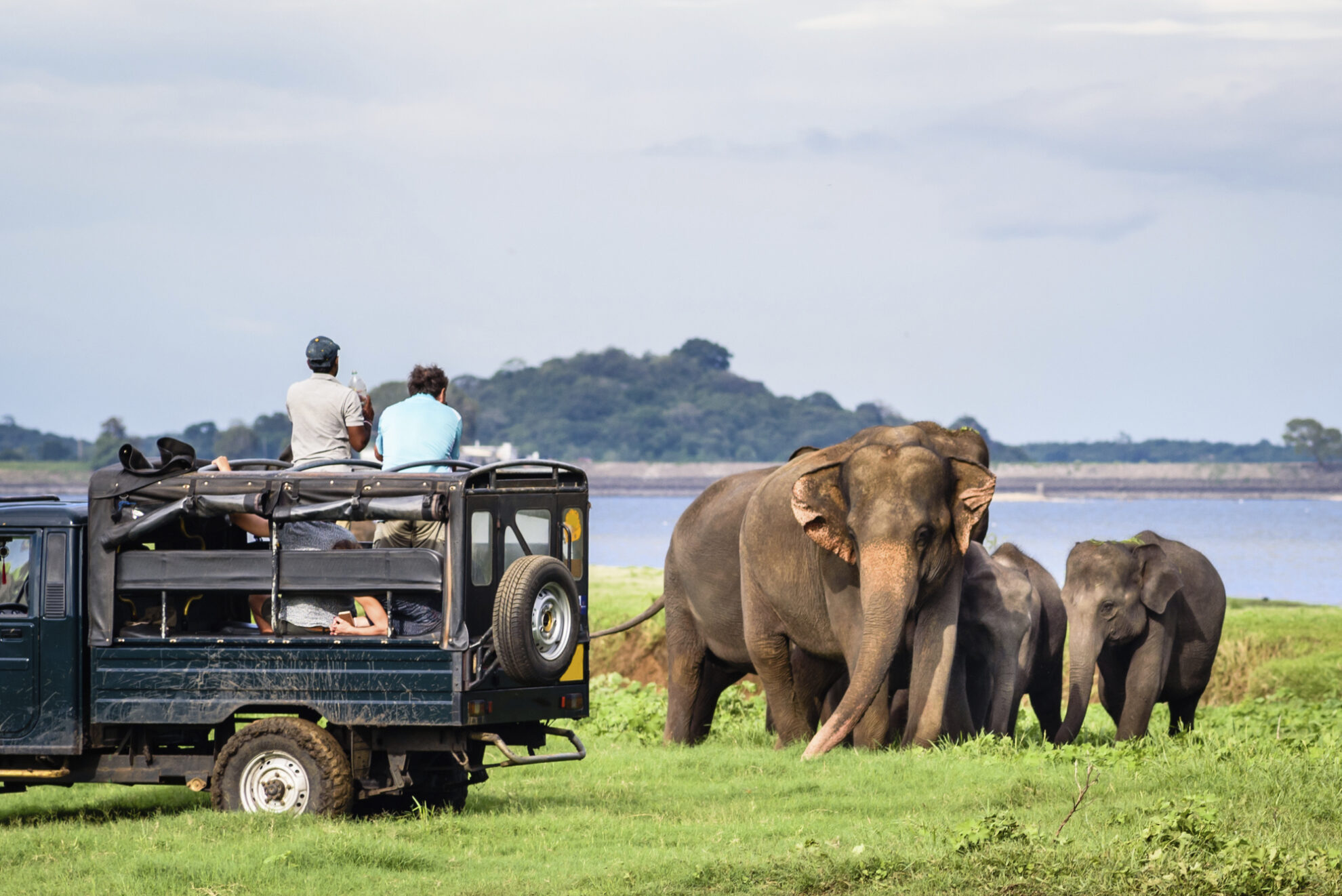 Hambantota, Safari