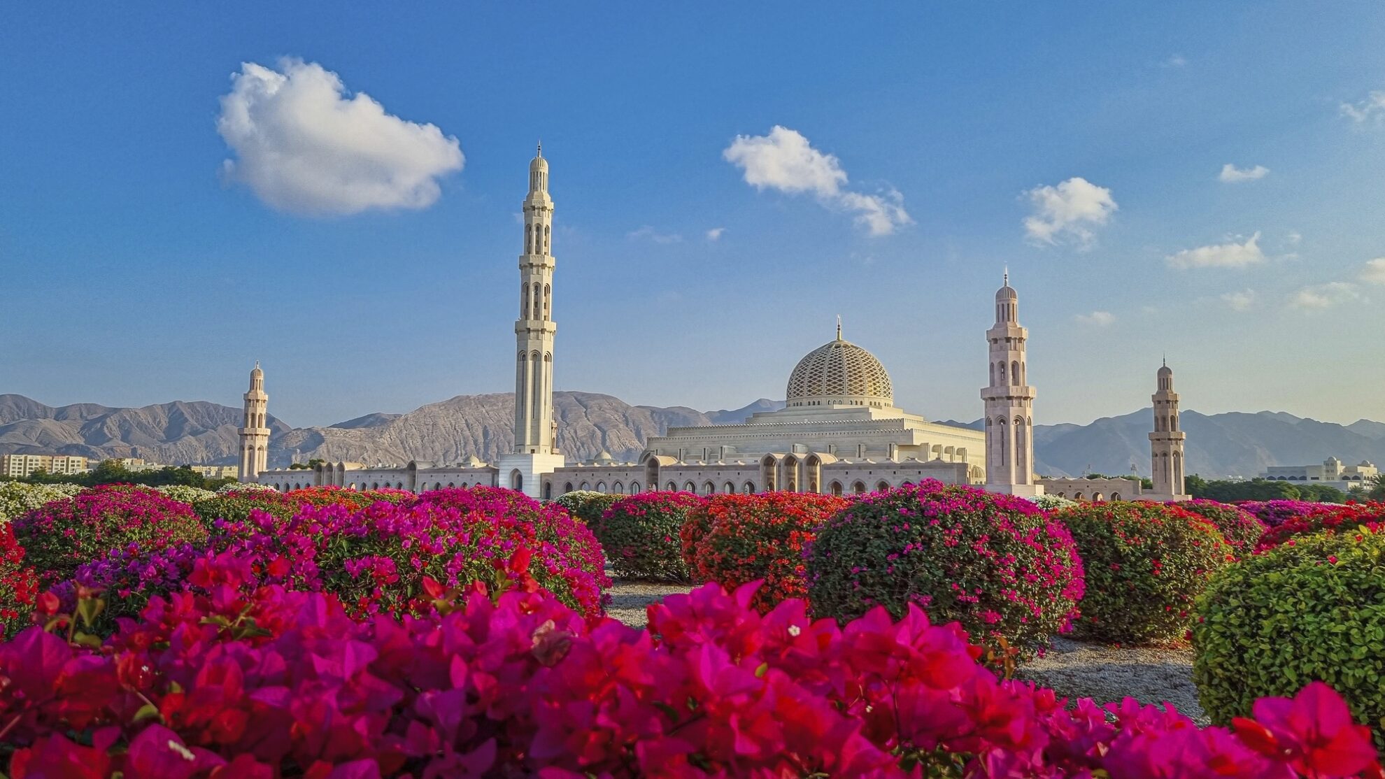Muscat