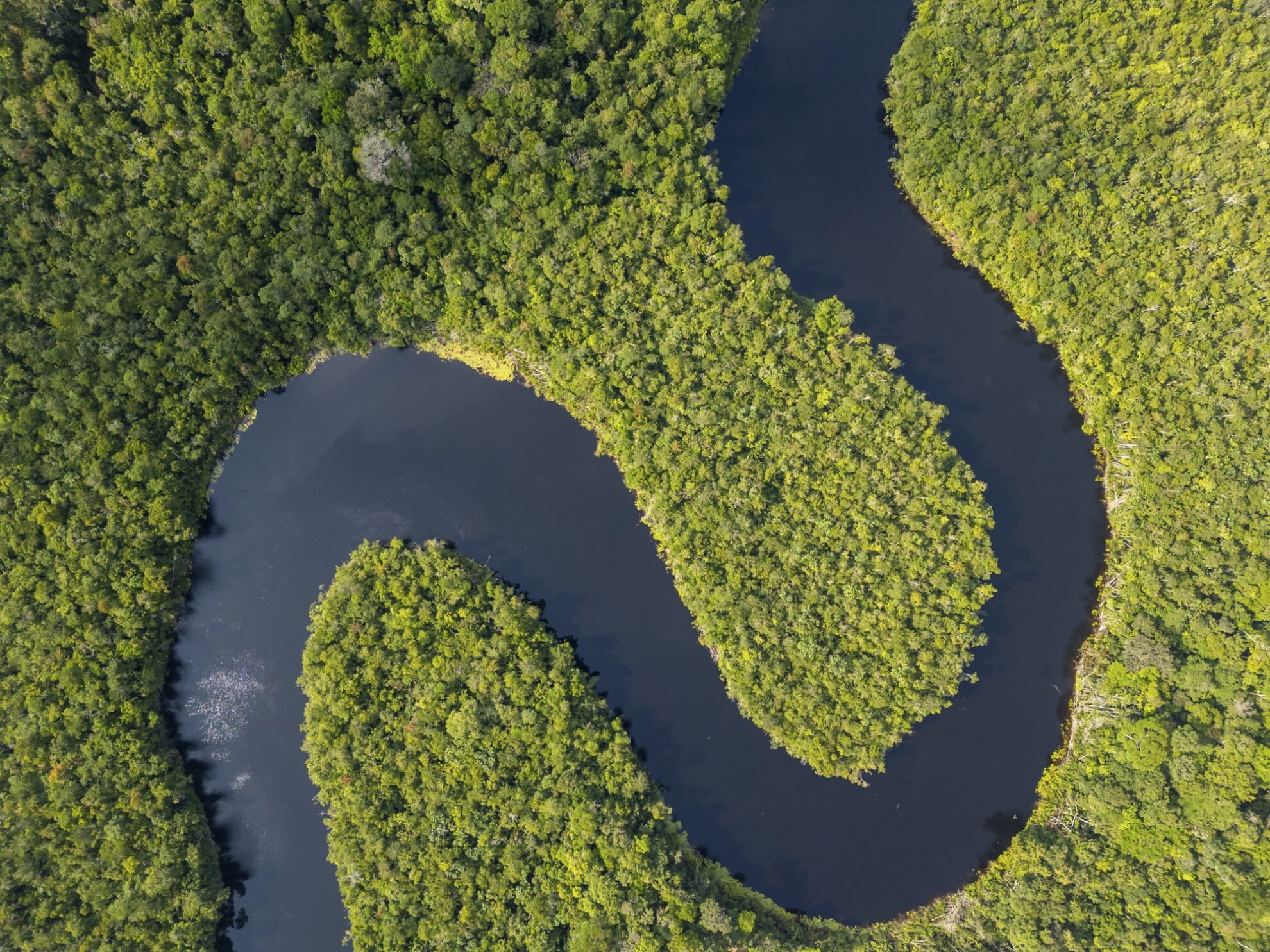Amazonas