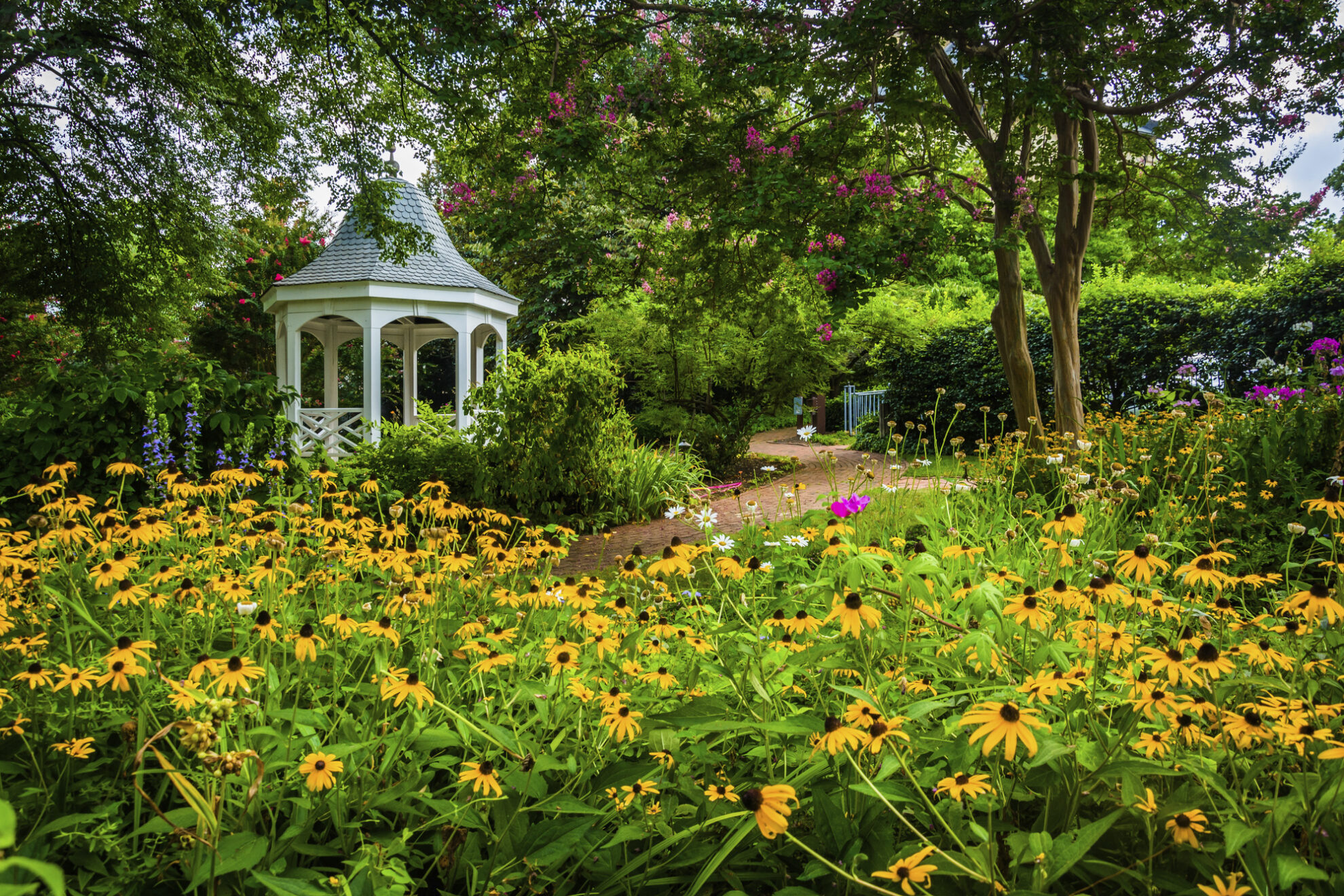 Park in Alexandria, USA