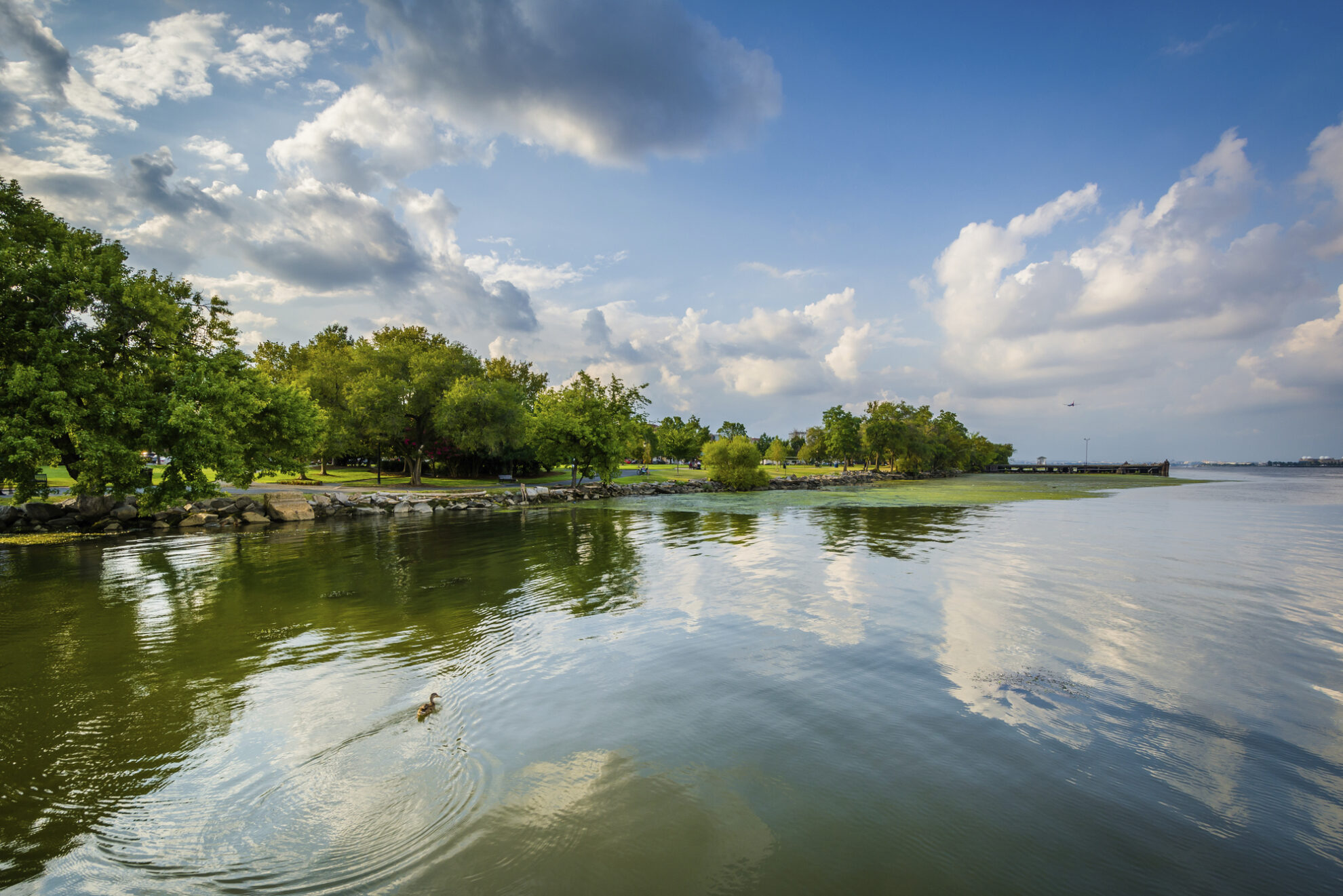 Potomac Flussufer, USA