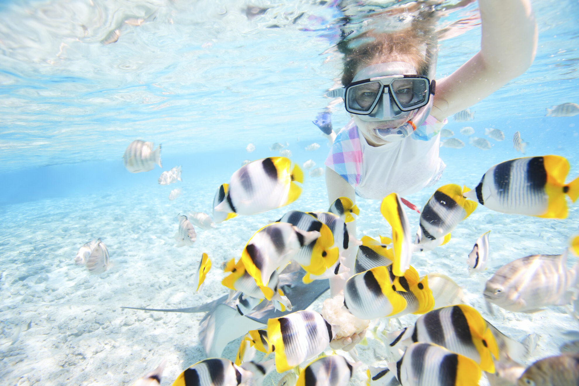 Rochenbeobachtung & Schnorcheln auf Bora Bora