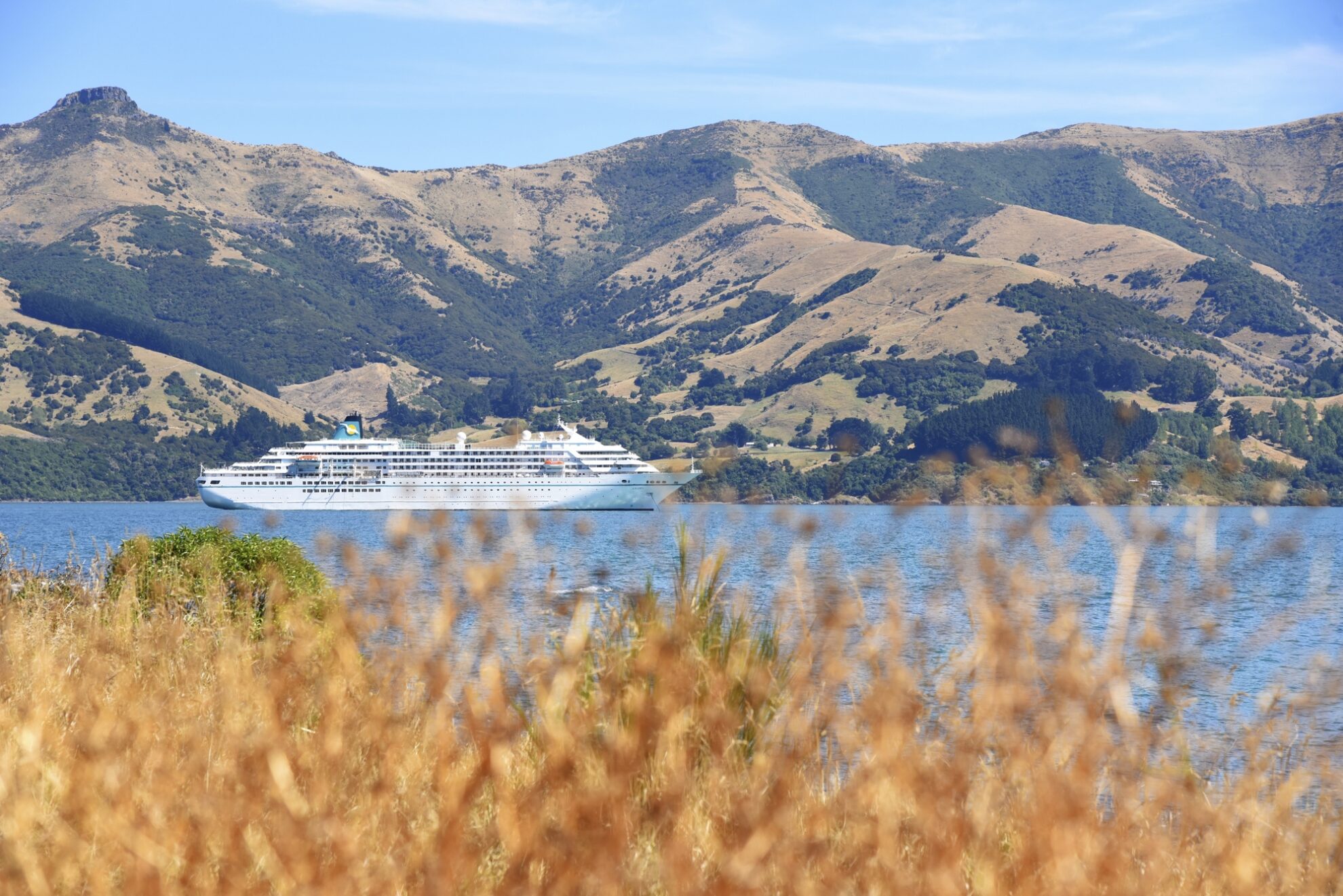 MS Amadea In Akaroa