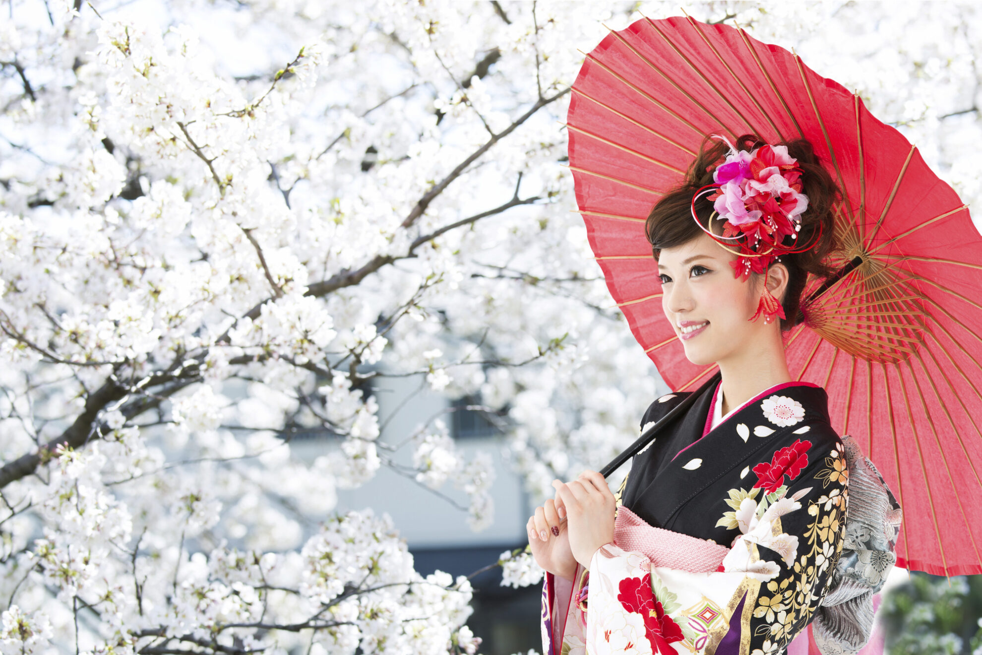Geisha