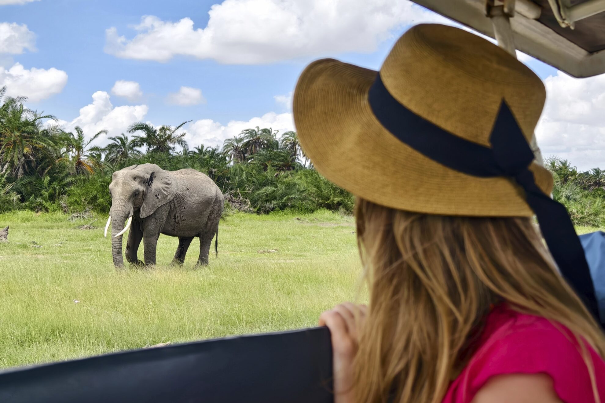 Safari, Amboseli Nationalpark