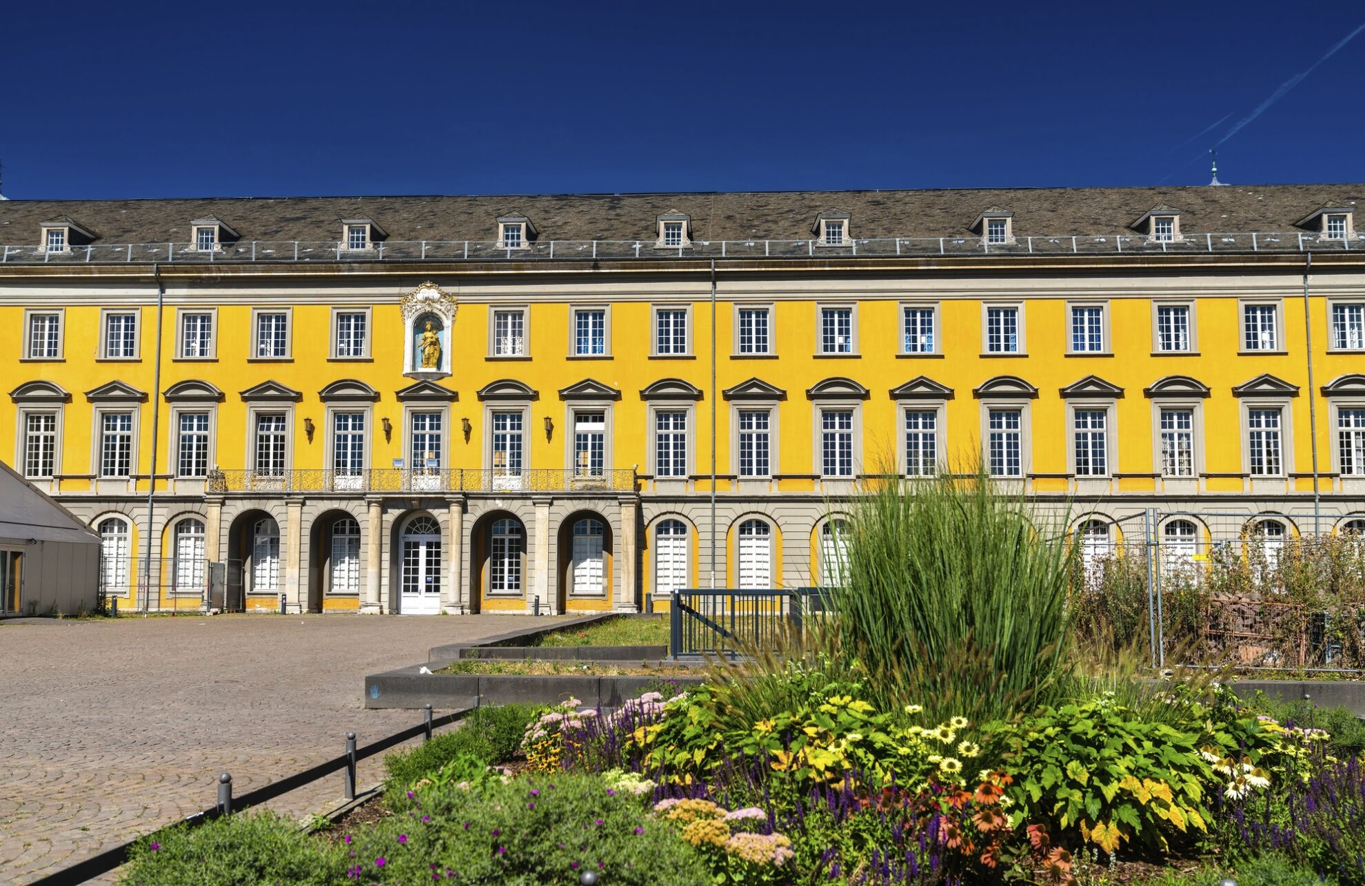 Bonn, Universität