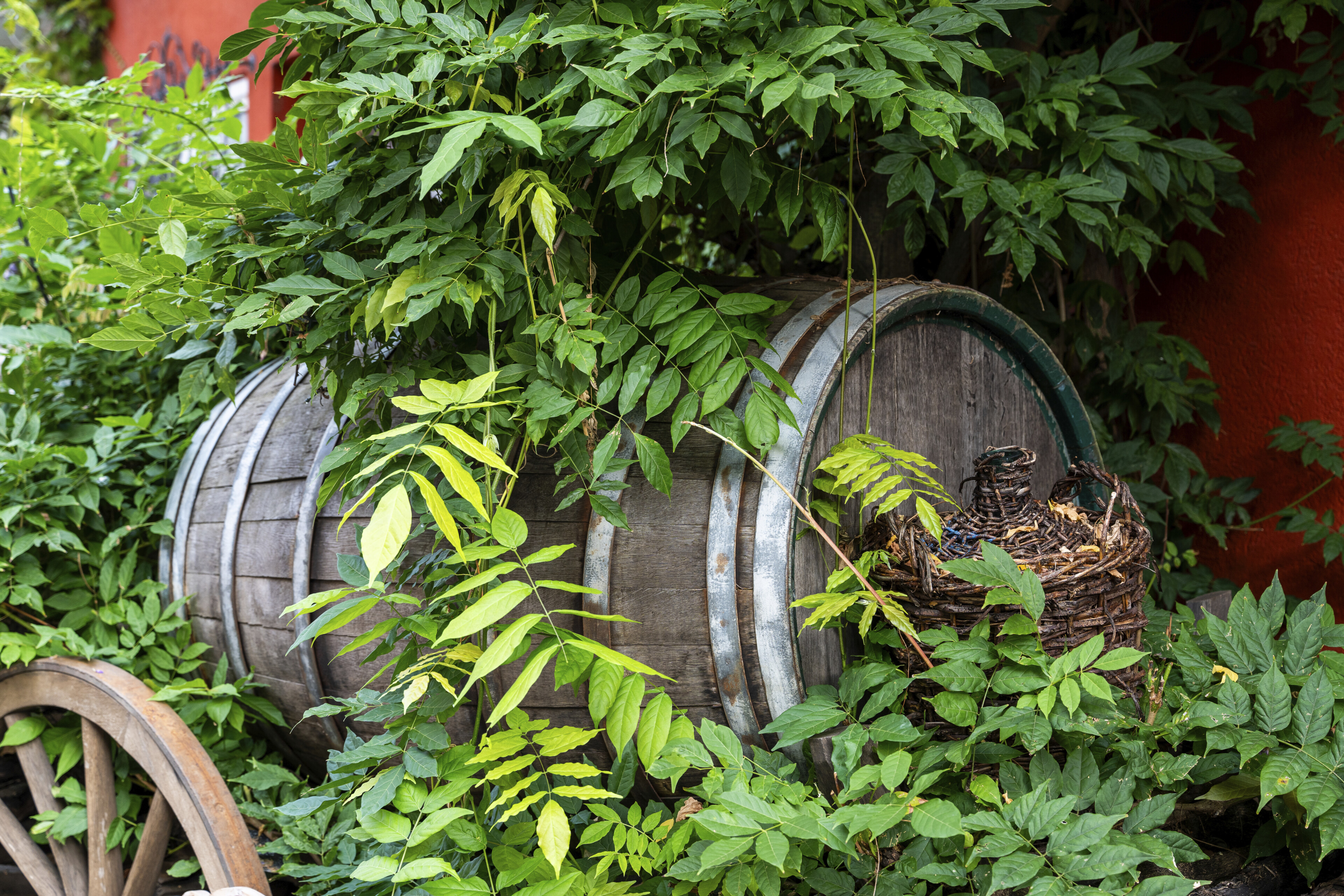 Traben Trarbach, Weinkellerei