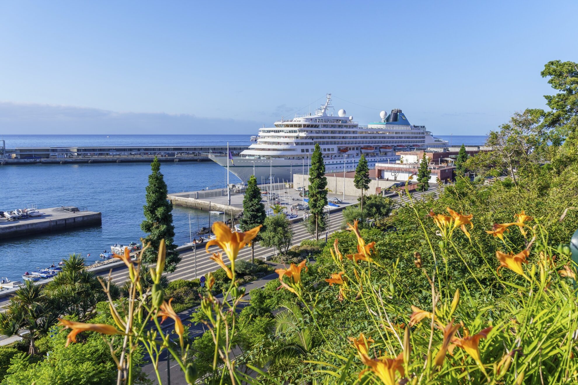 MS Amera in Funchal