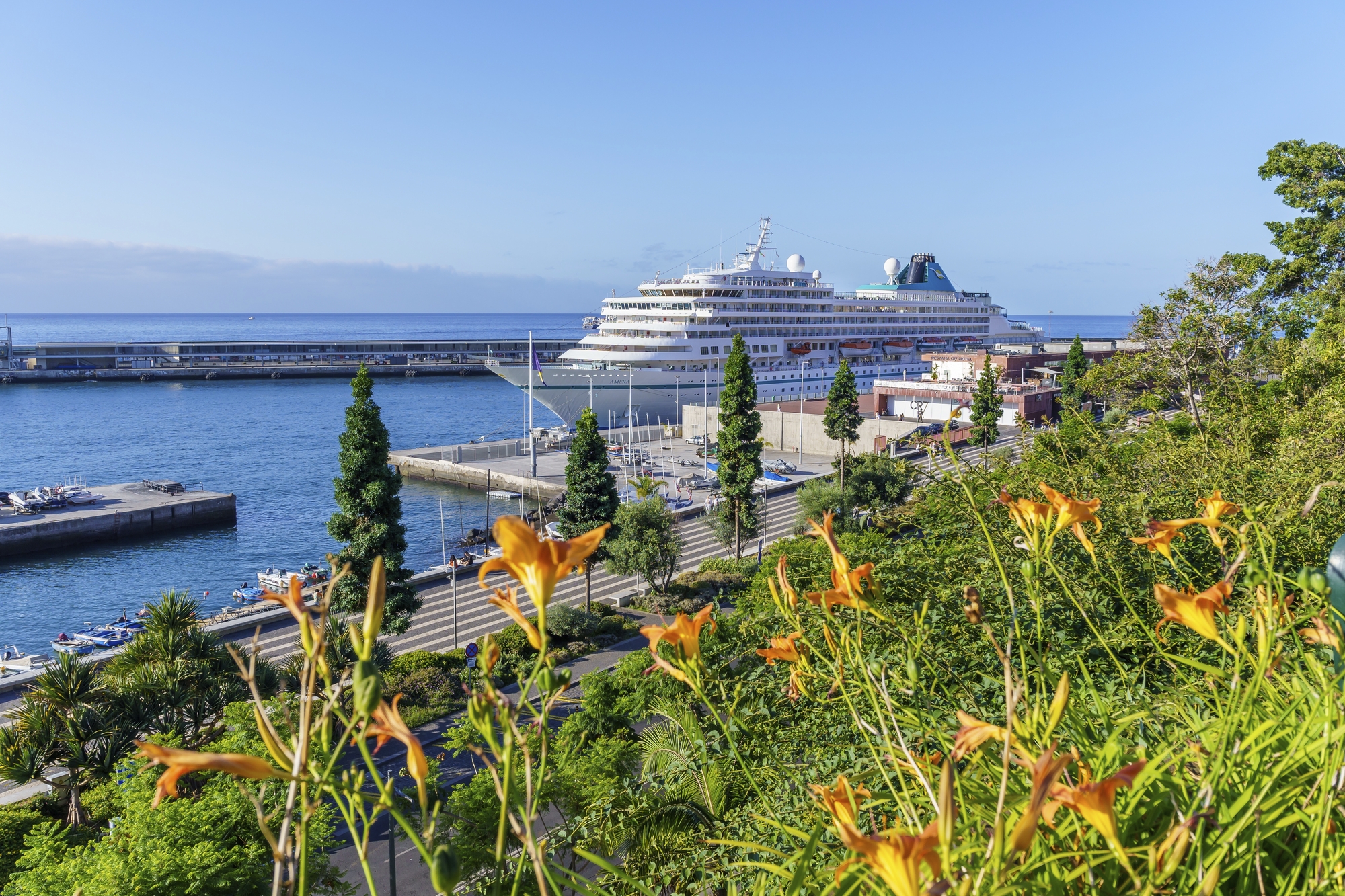 MS Amera in Funchal