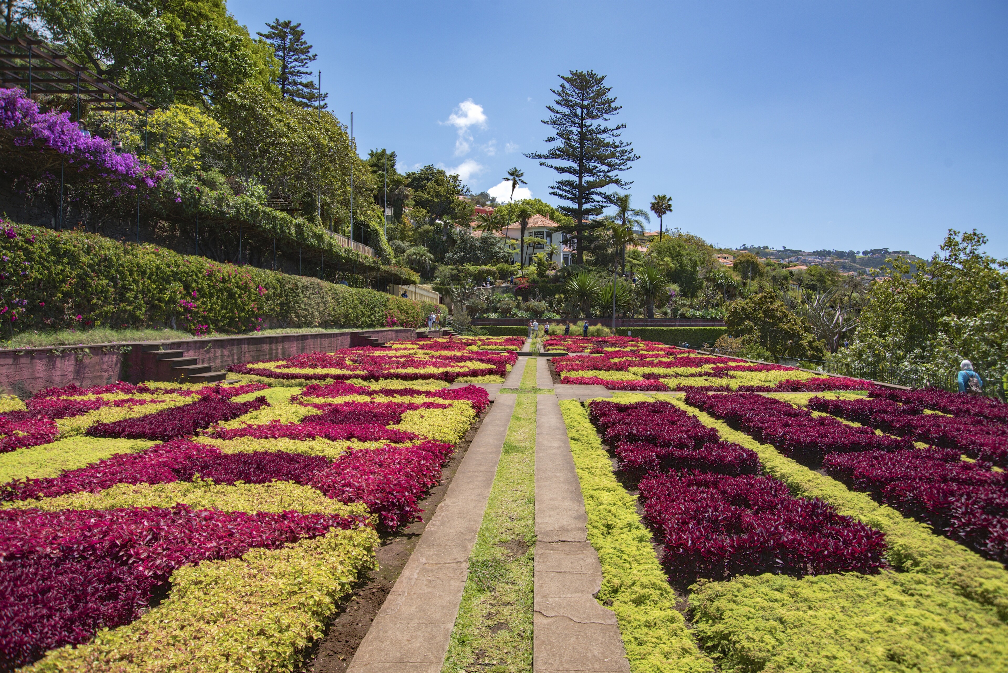 Gärten in Funchal