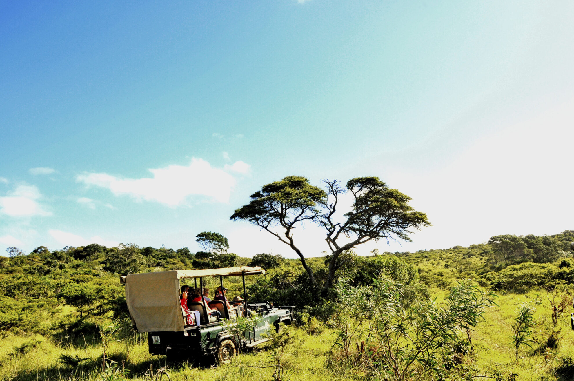 Safari Tour in Südafrika
