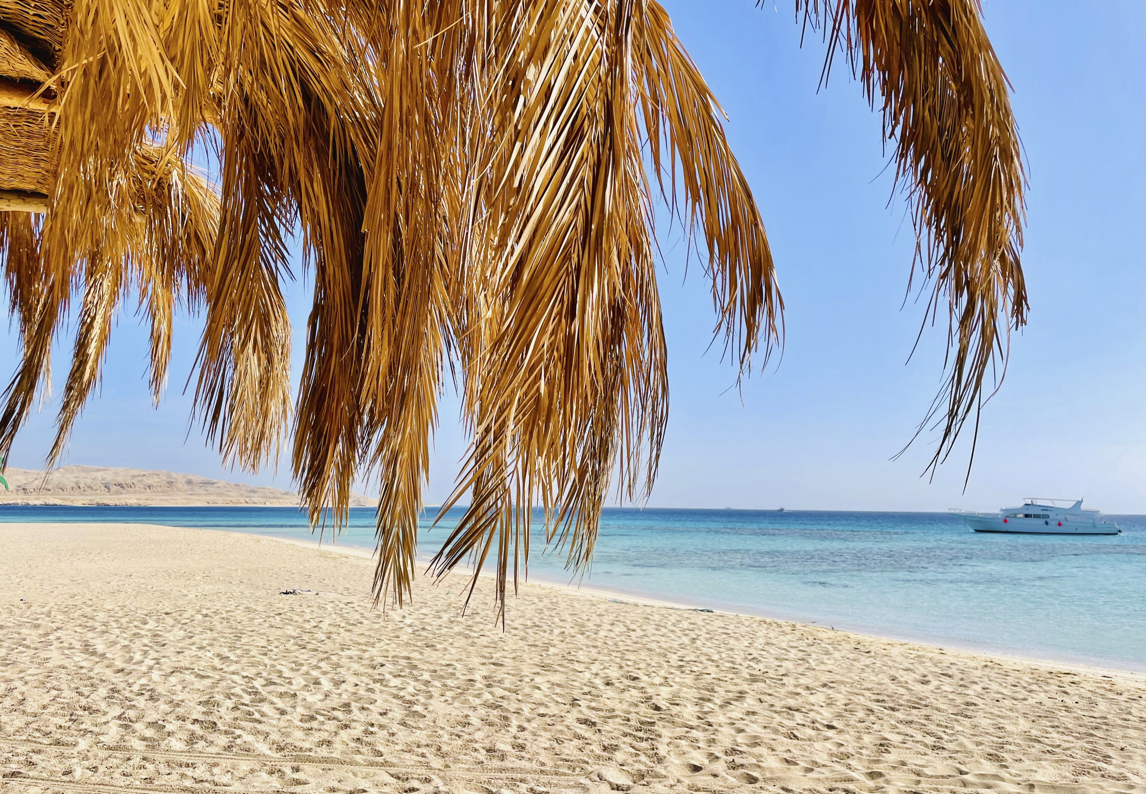Mahmya, Insel vor Hurghada