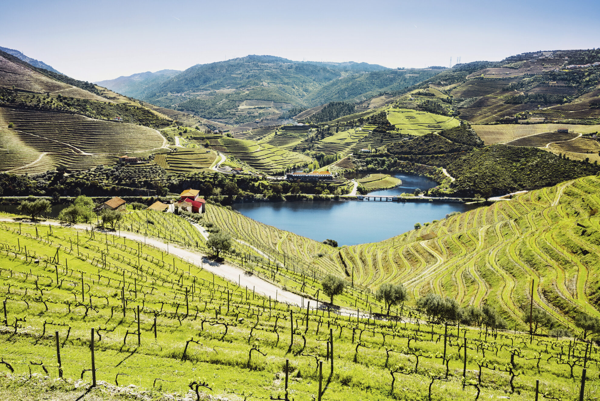 Weinberge bei Pinhao, Portugal