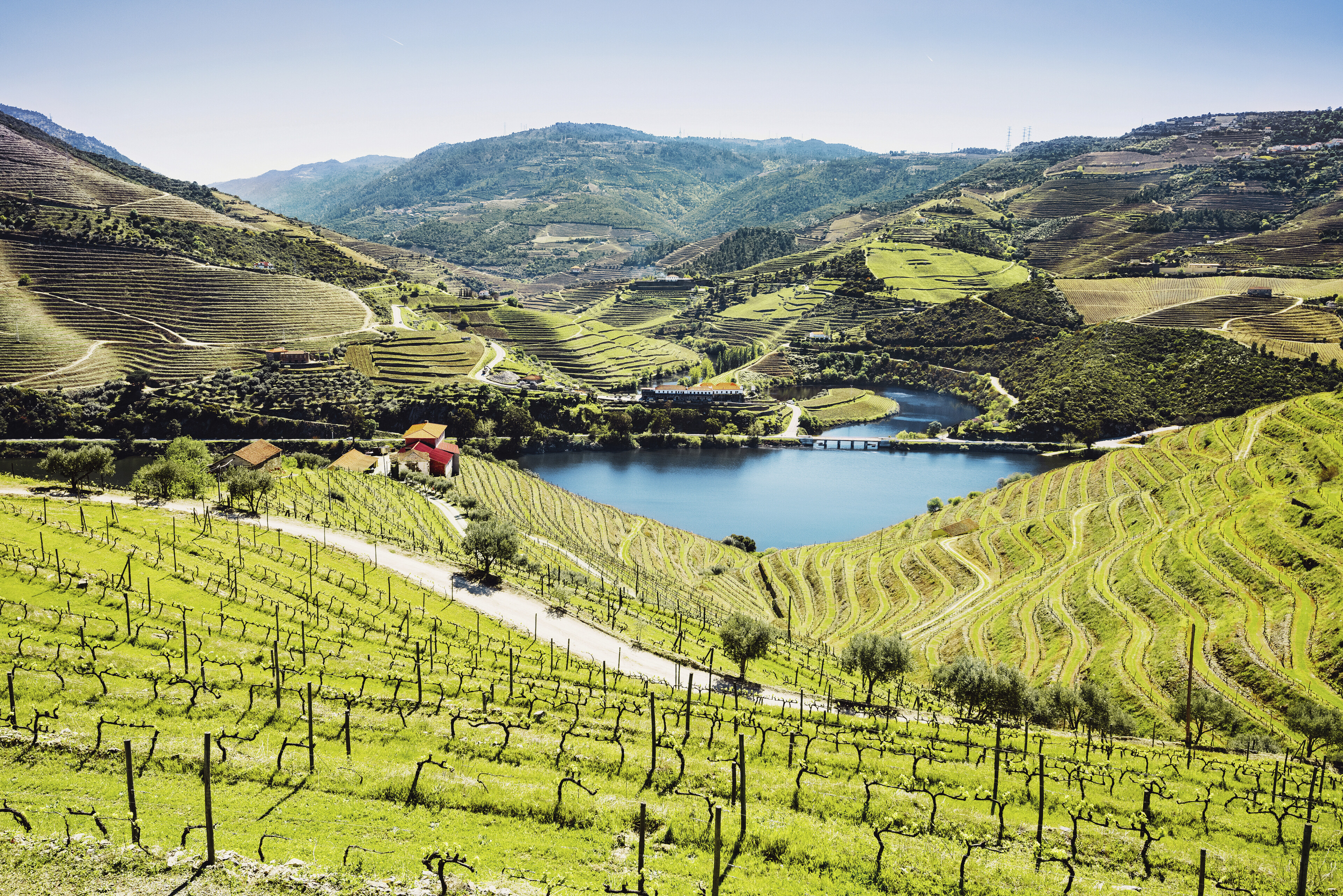 Weinberge bei Pinhao, Portugal