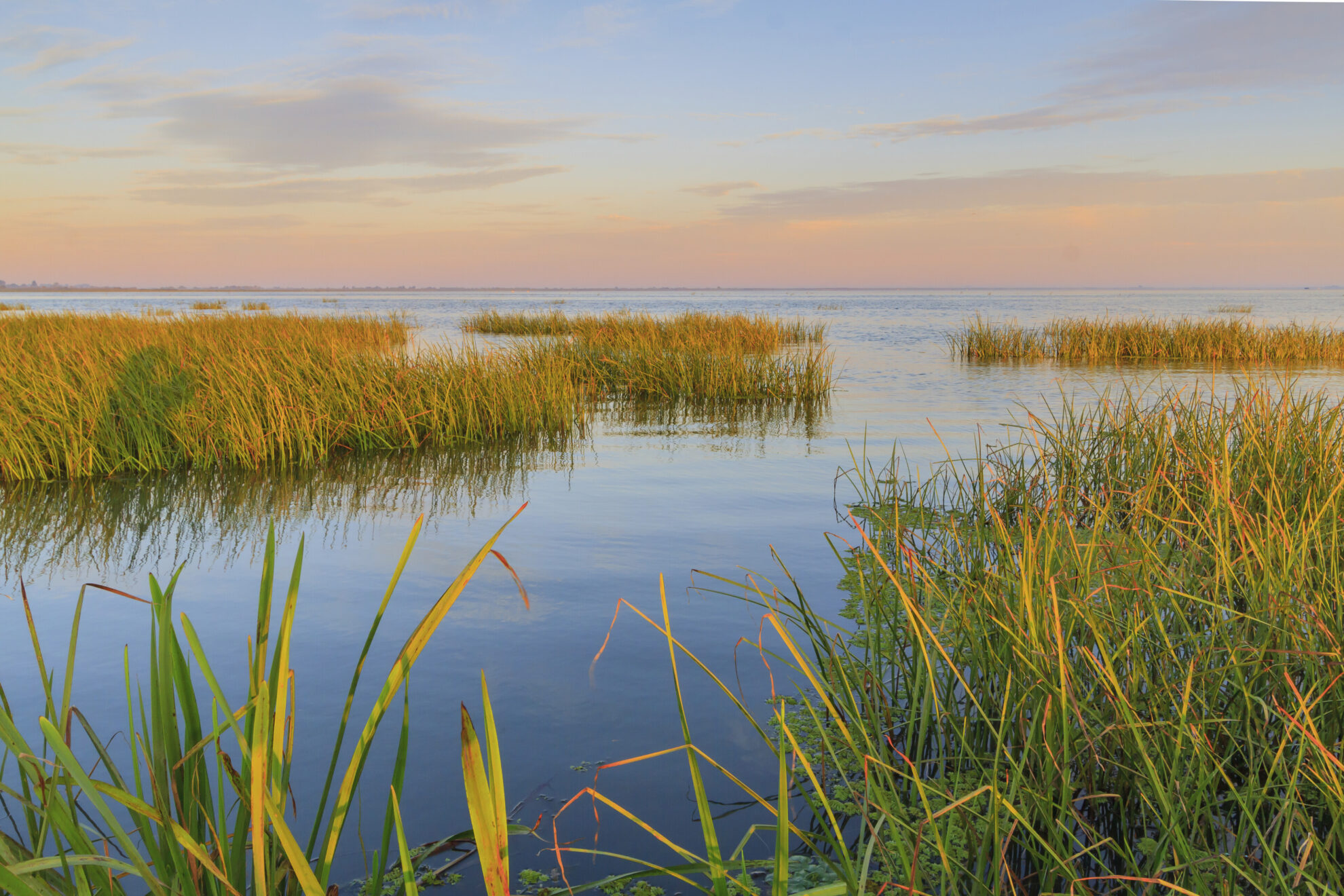 Danube Delta, Rumaenien