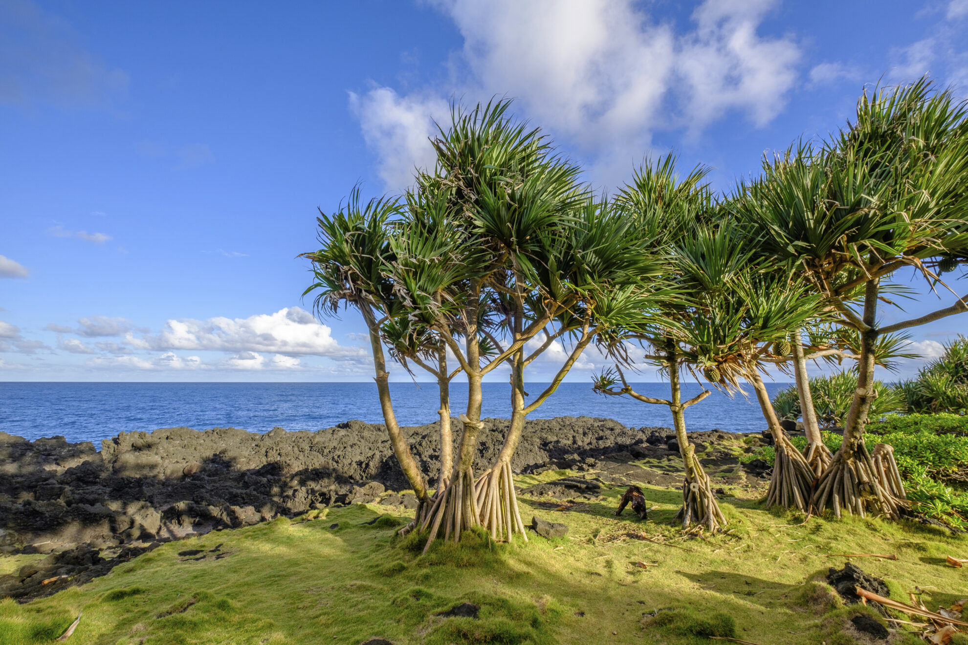 Küste von La Reunion