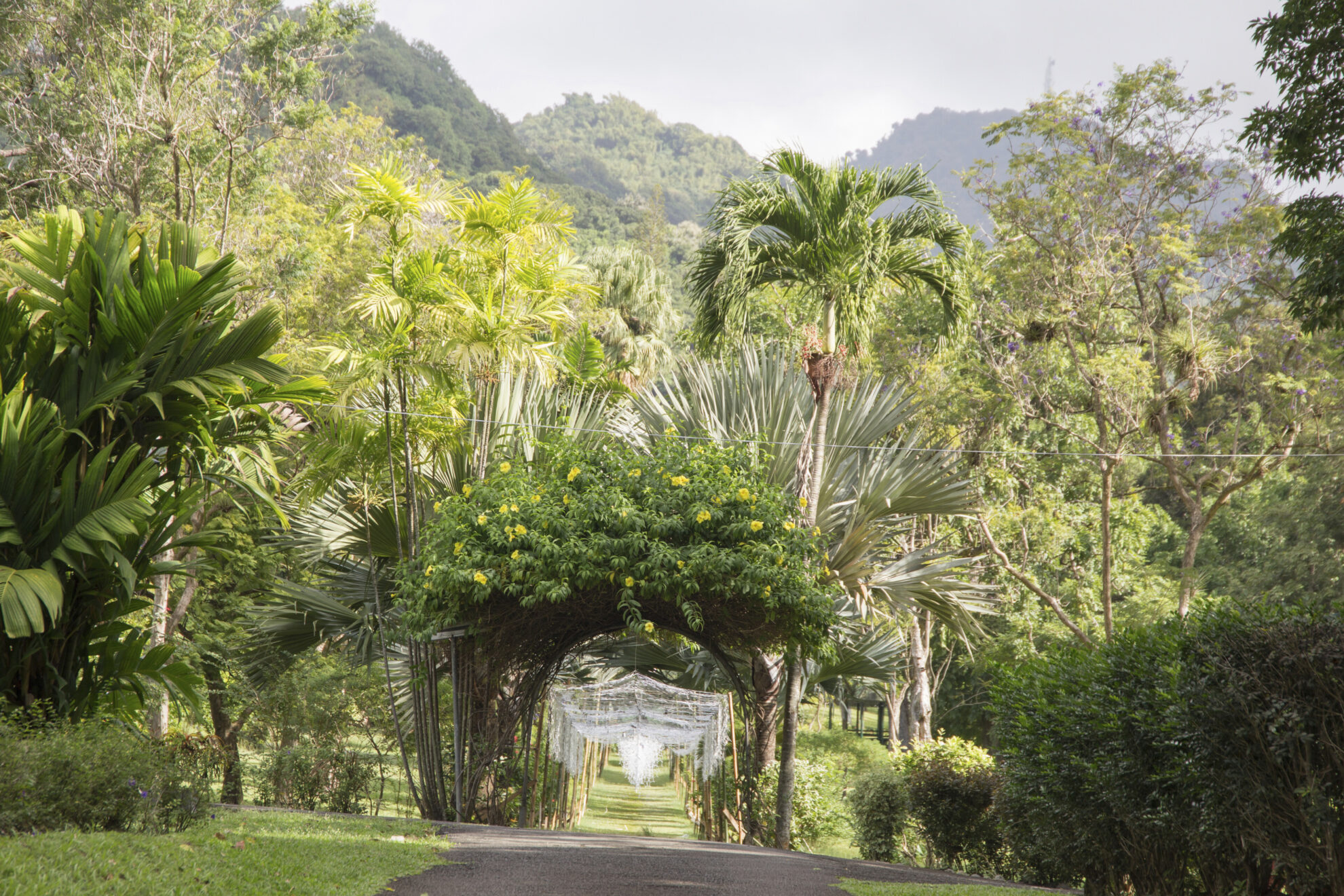 Botanischer Garten in Kingstown, St Vincent