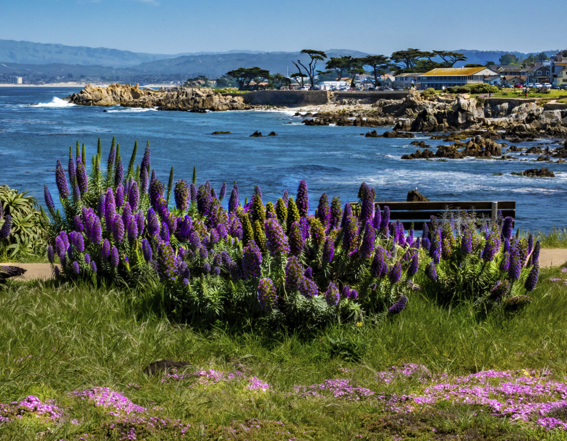 Kueste von Monterey, USA
