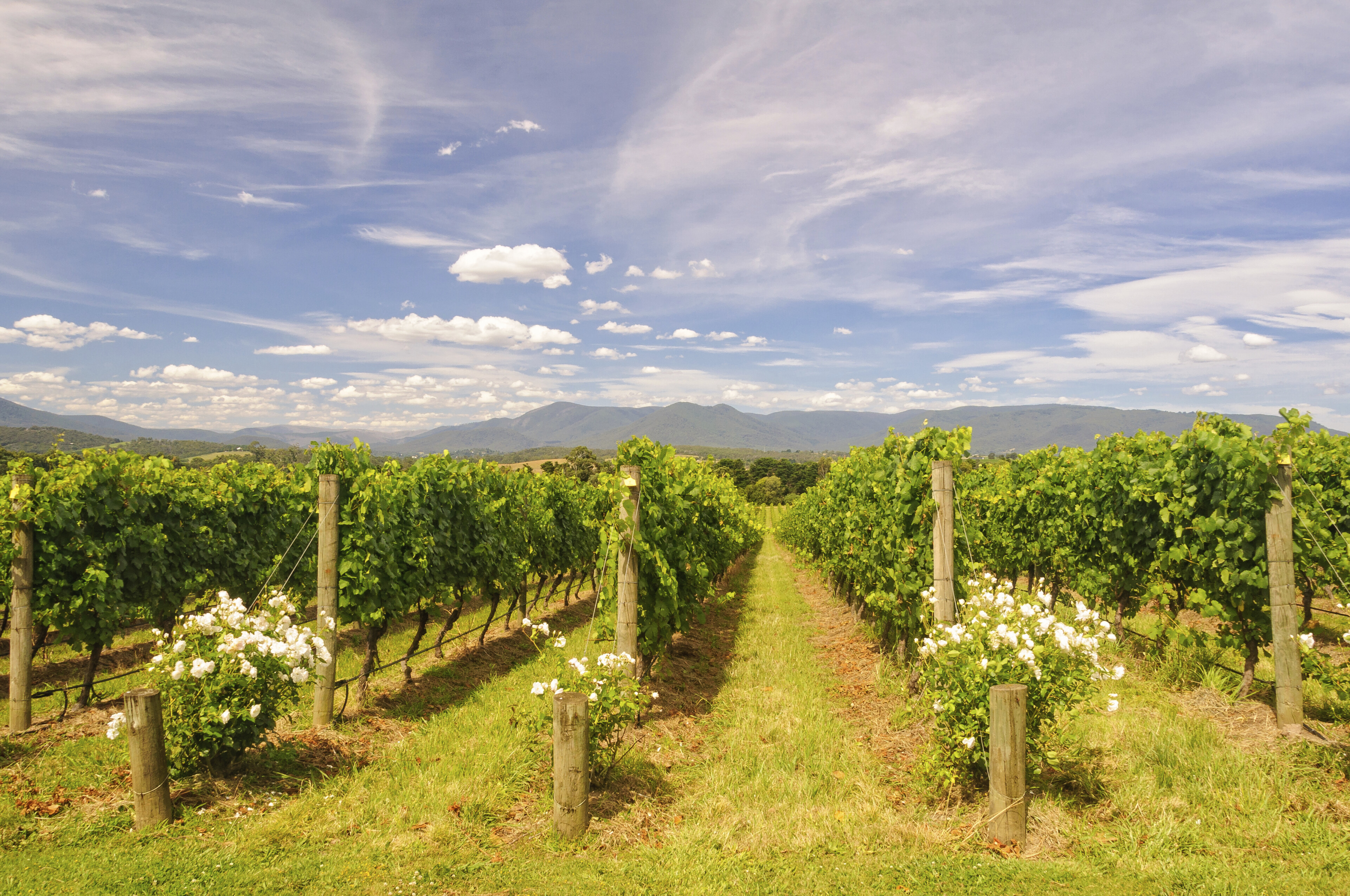 Melbourne, Yarra Valley