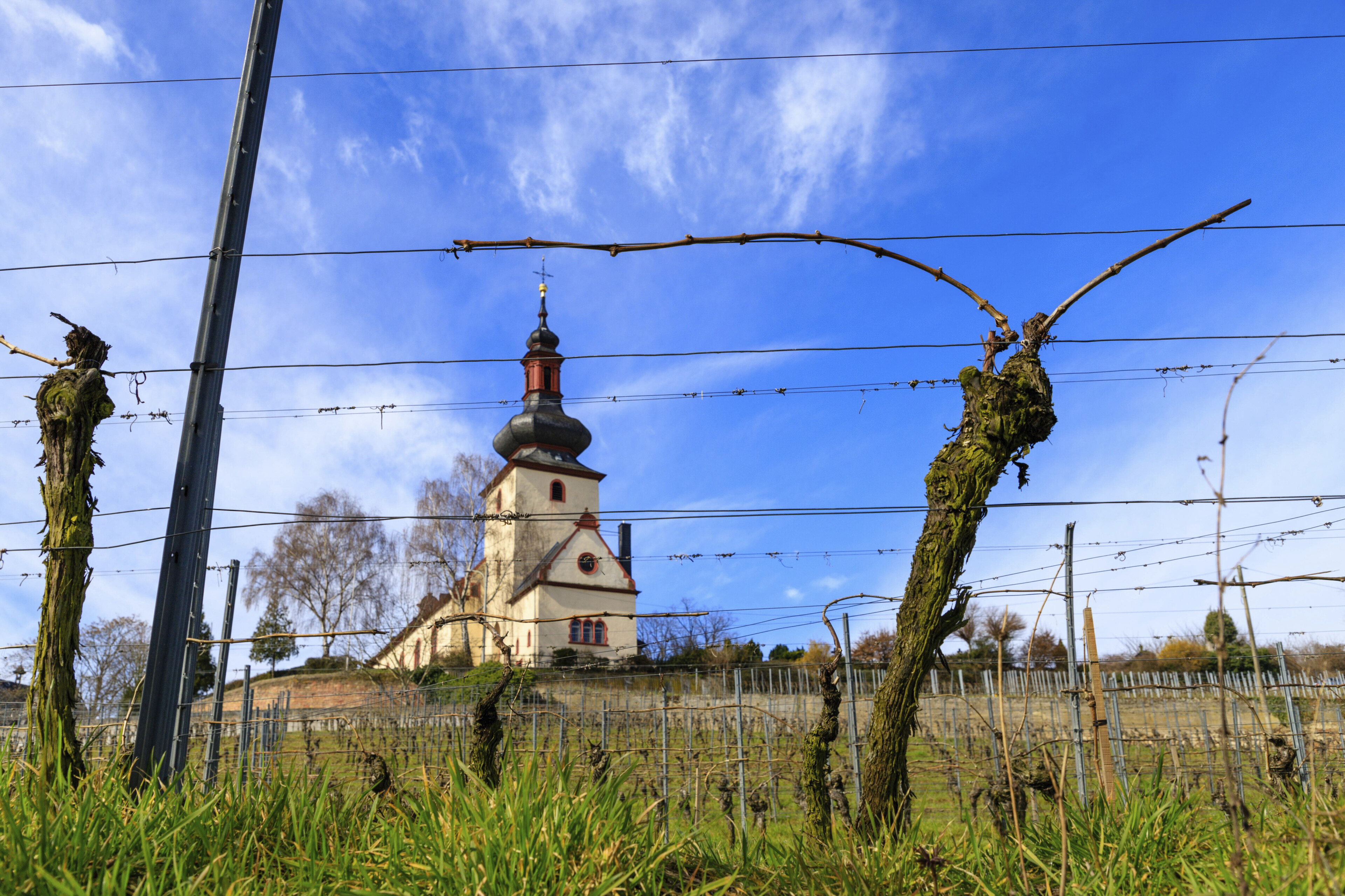 St- Kilian Kirche in Nierstein, Deutschland