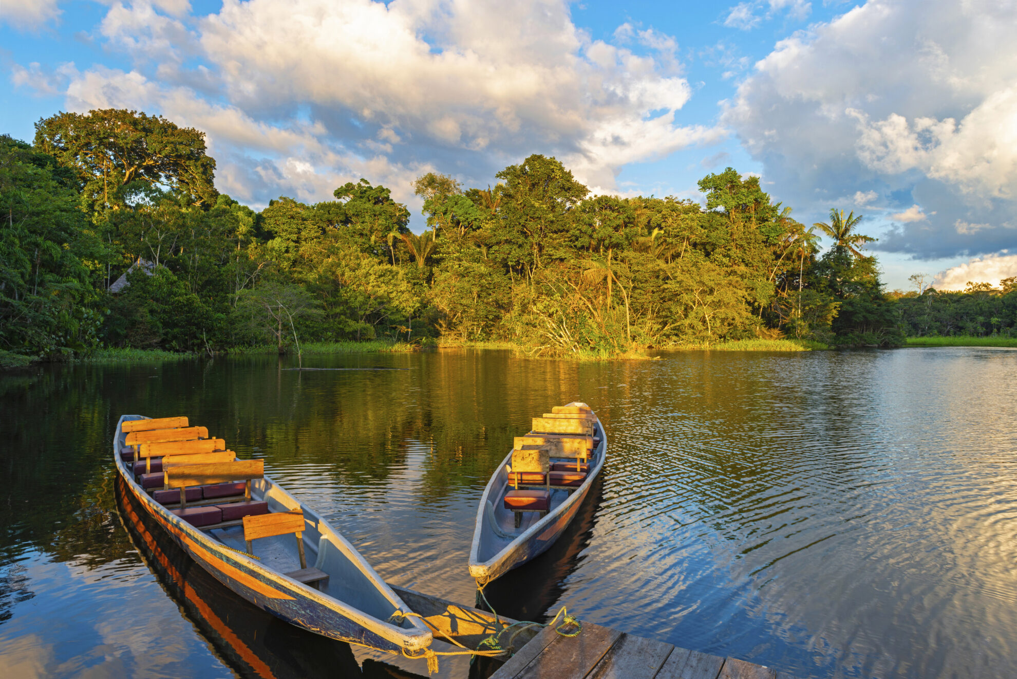 Amazonas