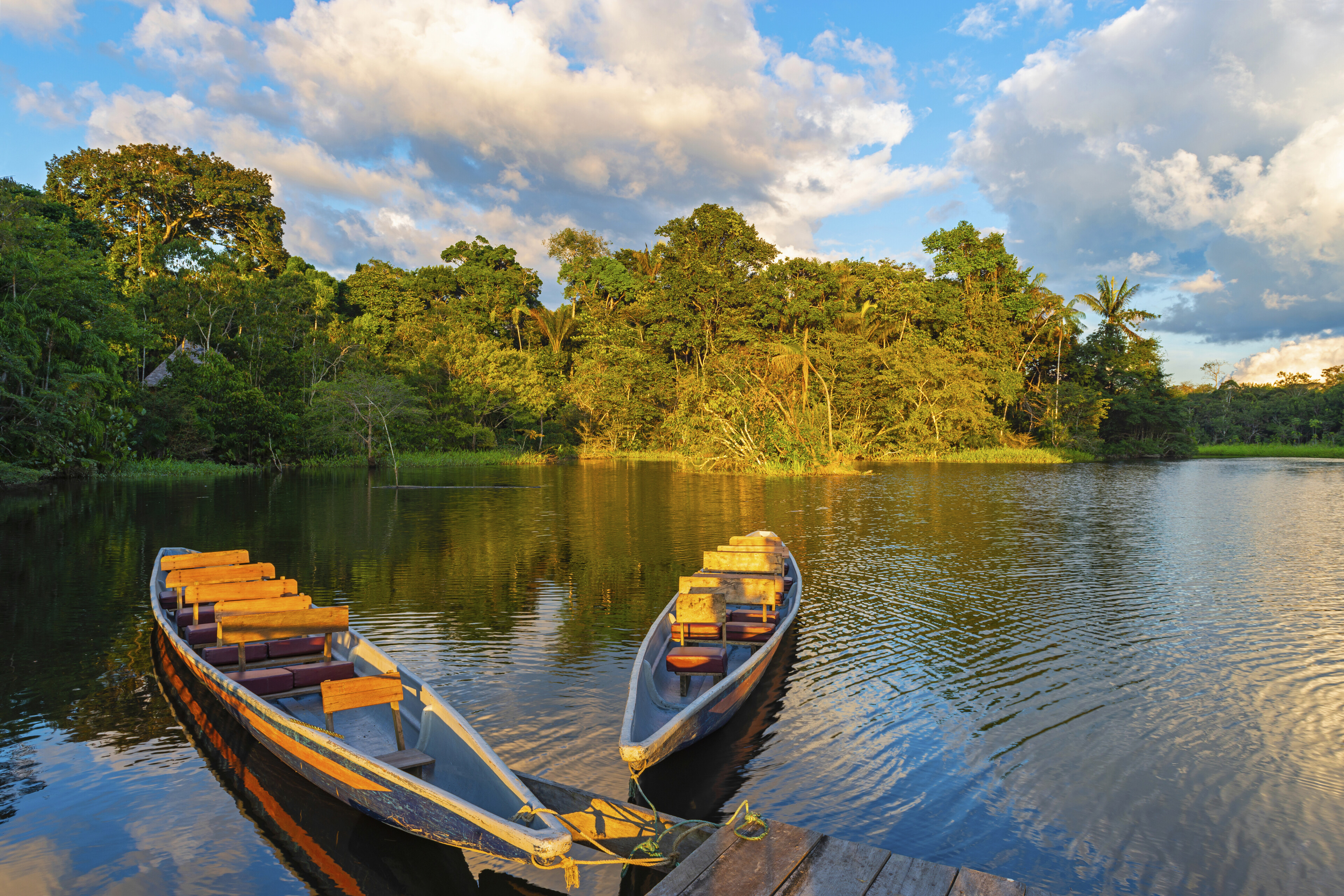 Amazonas