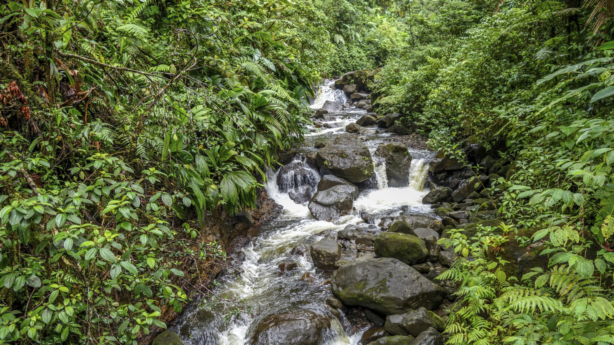 Carbet Falls, Guadeloupe