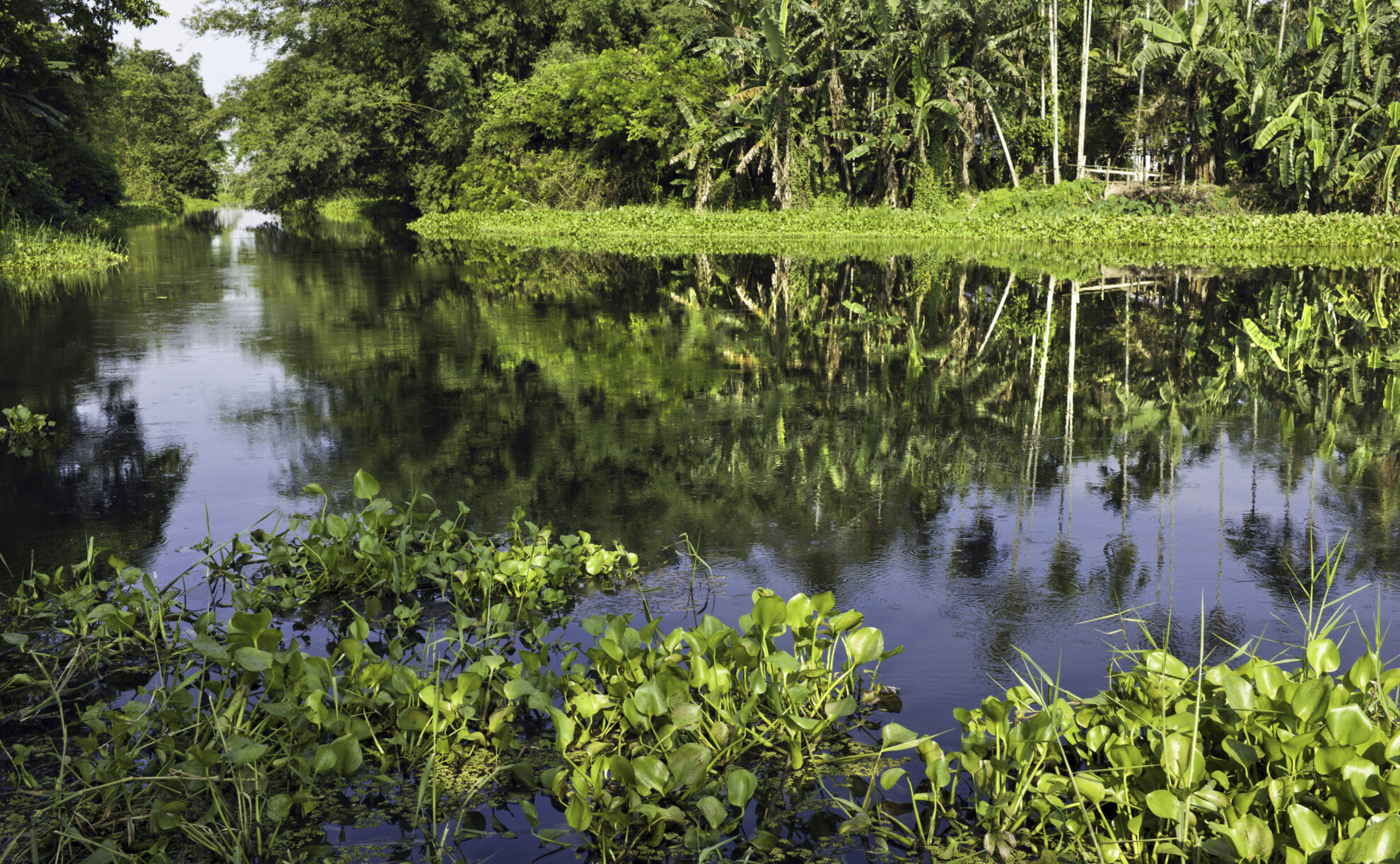Fluss Majuli in Assam, Indien