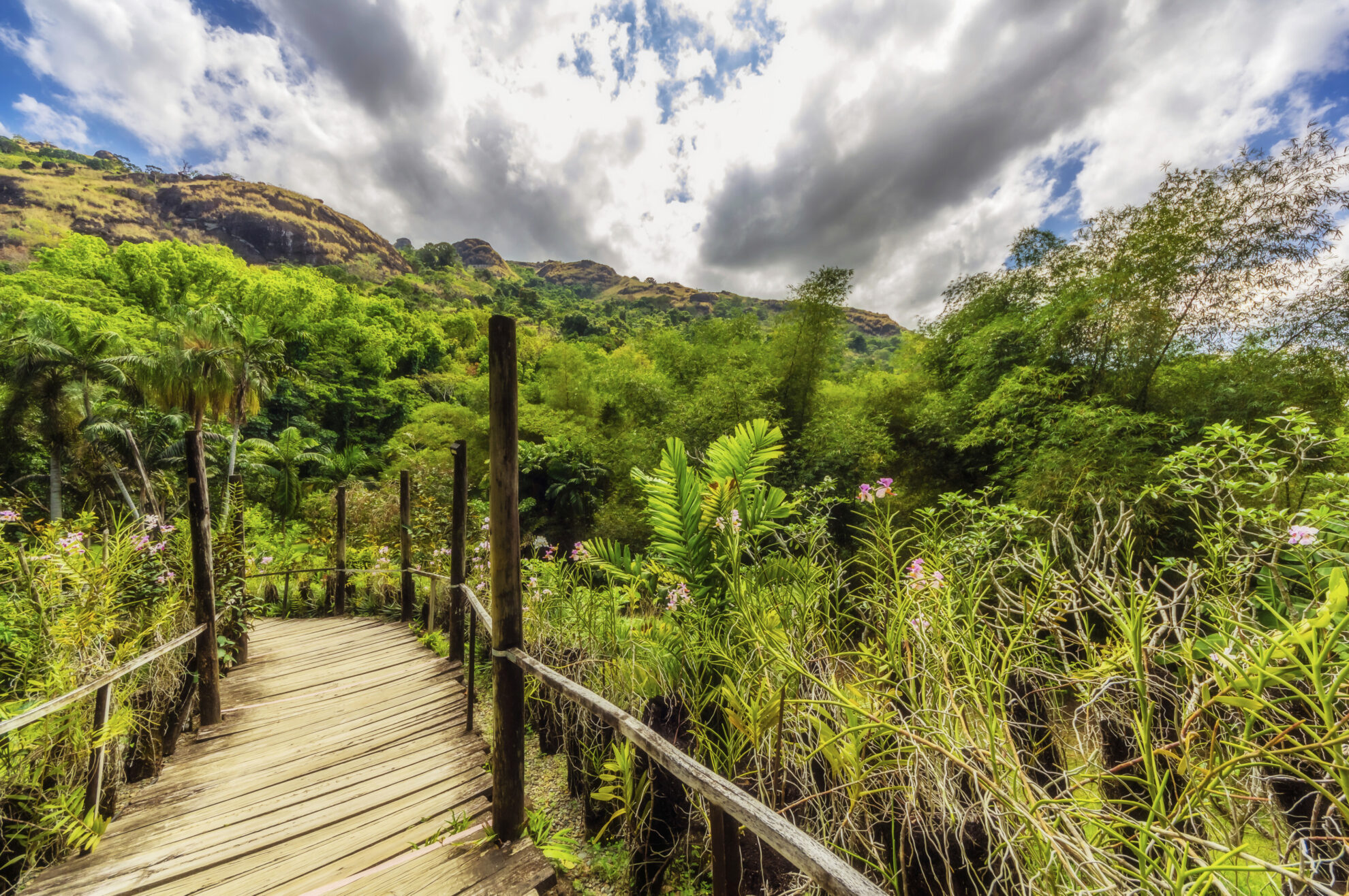Natur in Lautoka, Fidschi Inseln
