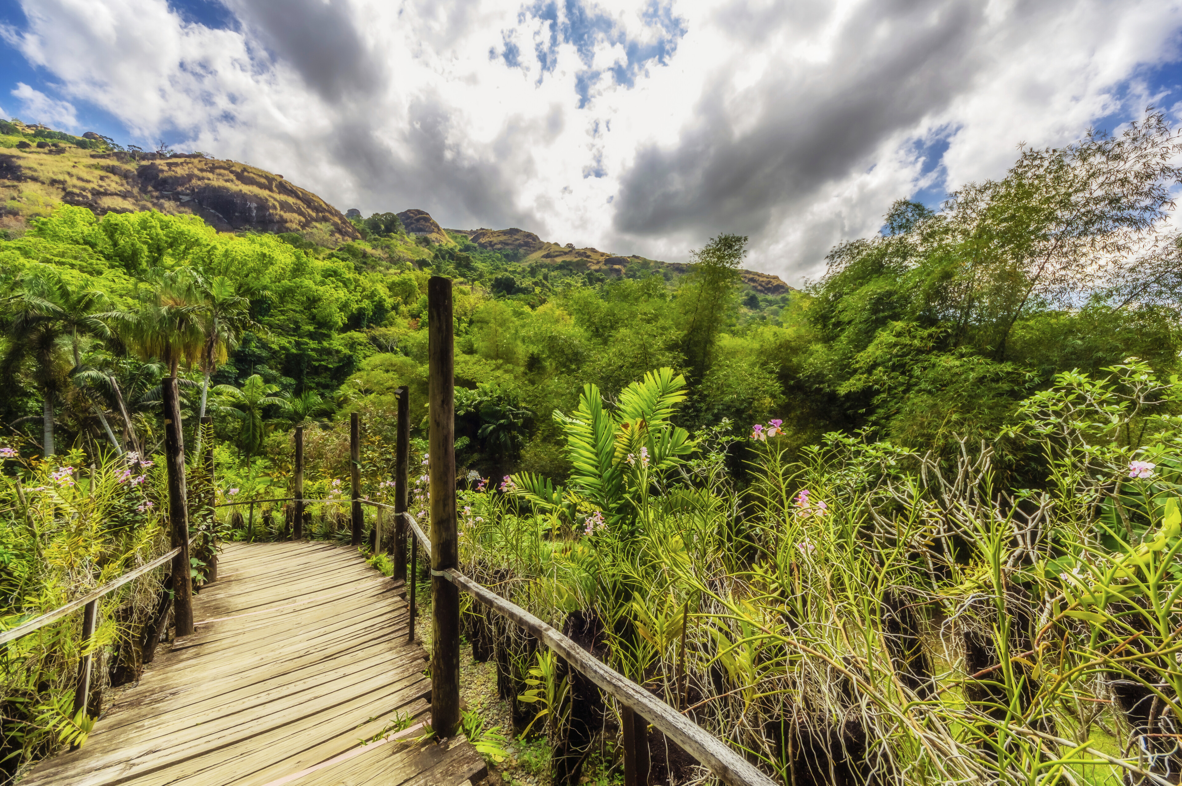 Natur in Lautoka, Fidschi Inseln