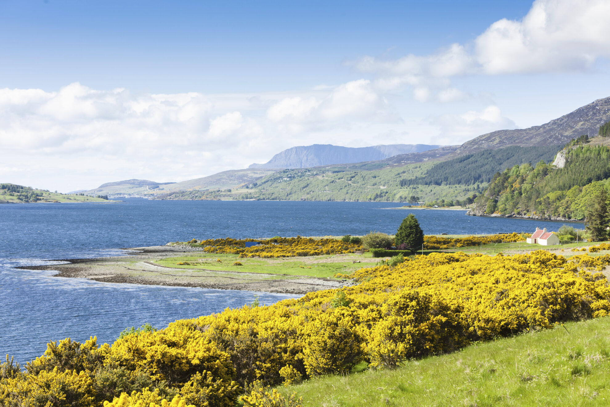 Blick auf Ullapool und Loch Broom, Schottland