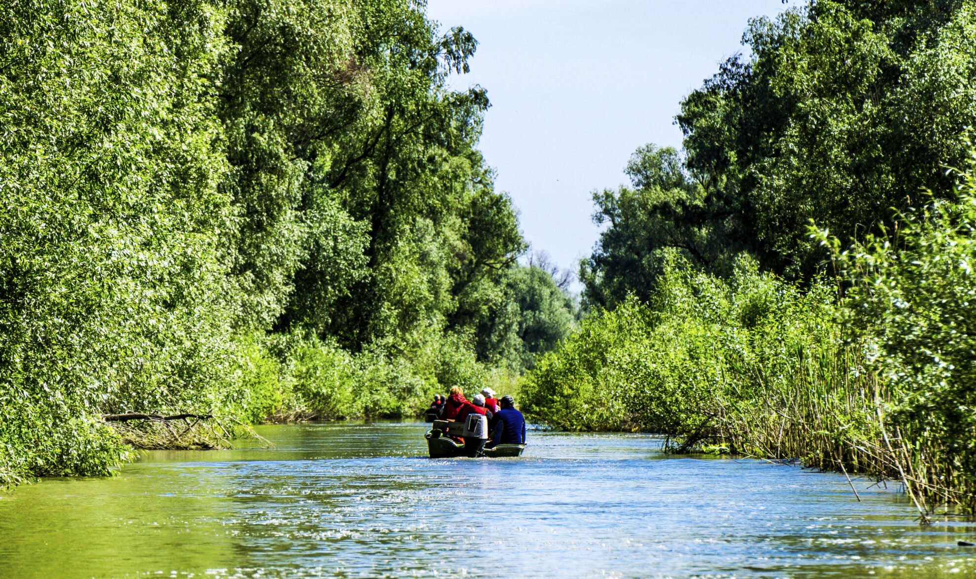 Boot im Donaudelta, Rumänien