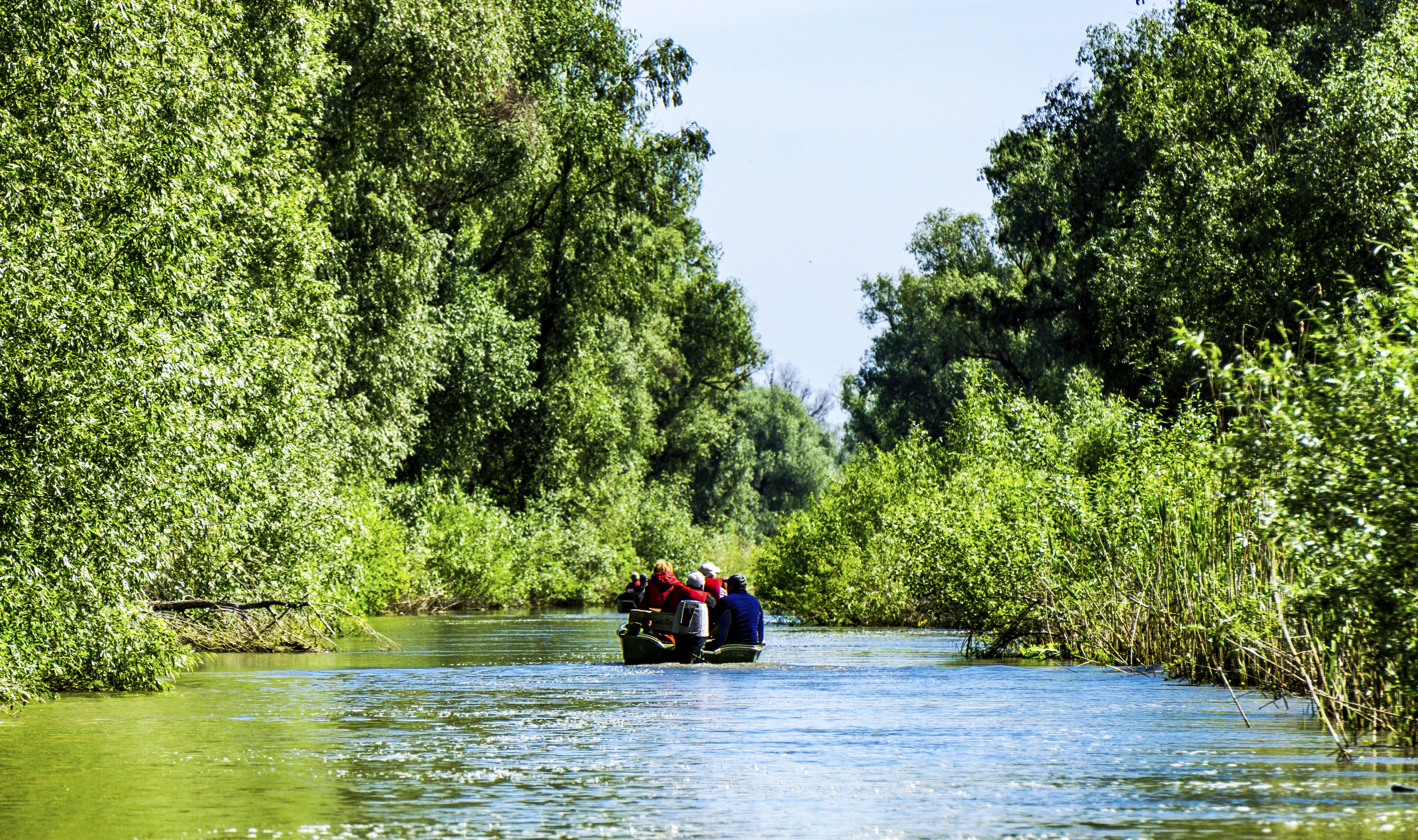 Boot im Donaudelta, Rumänien