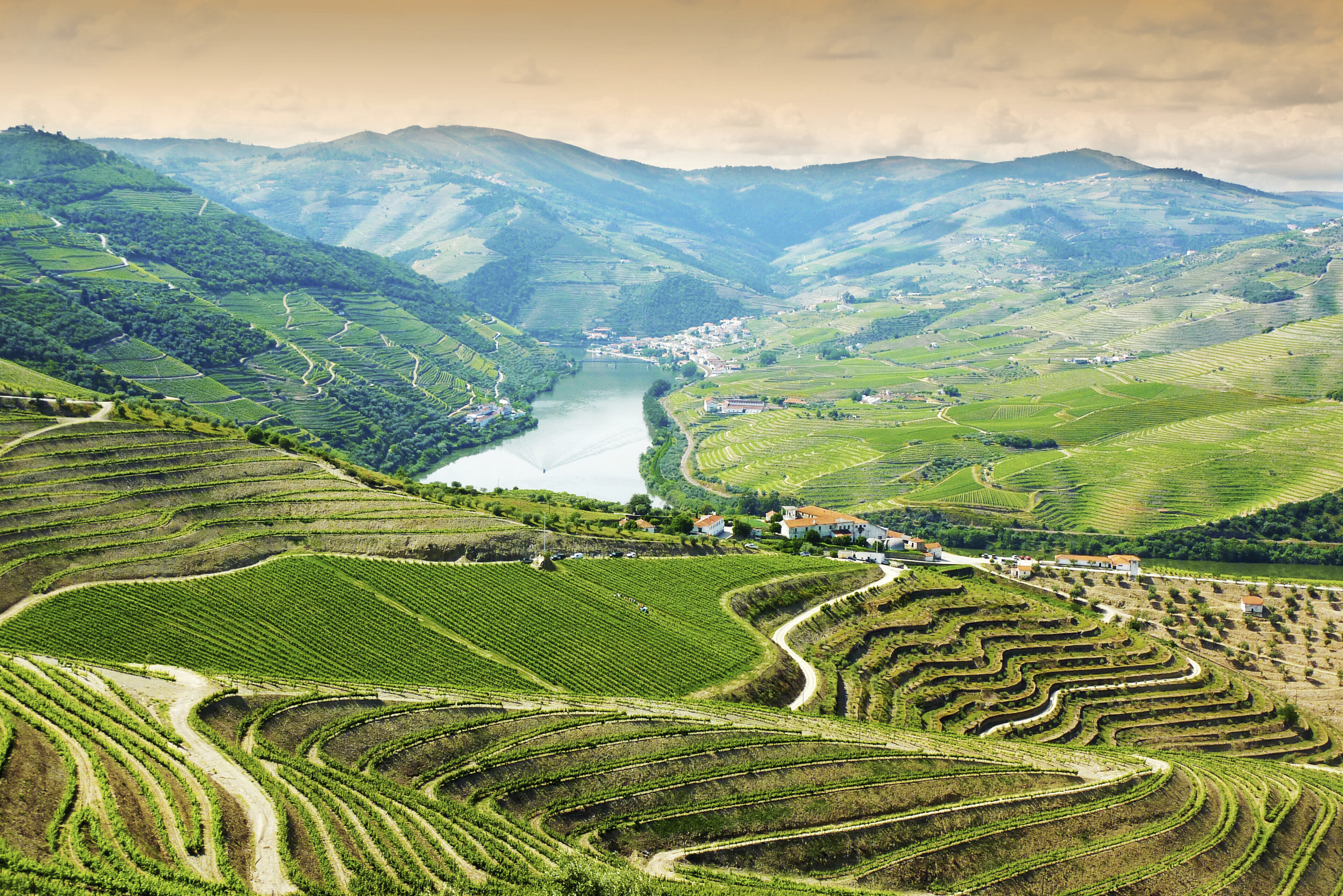 Regua Tal Panorama, Portugal
