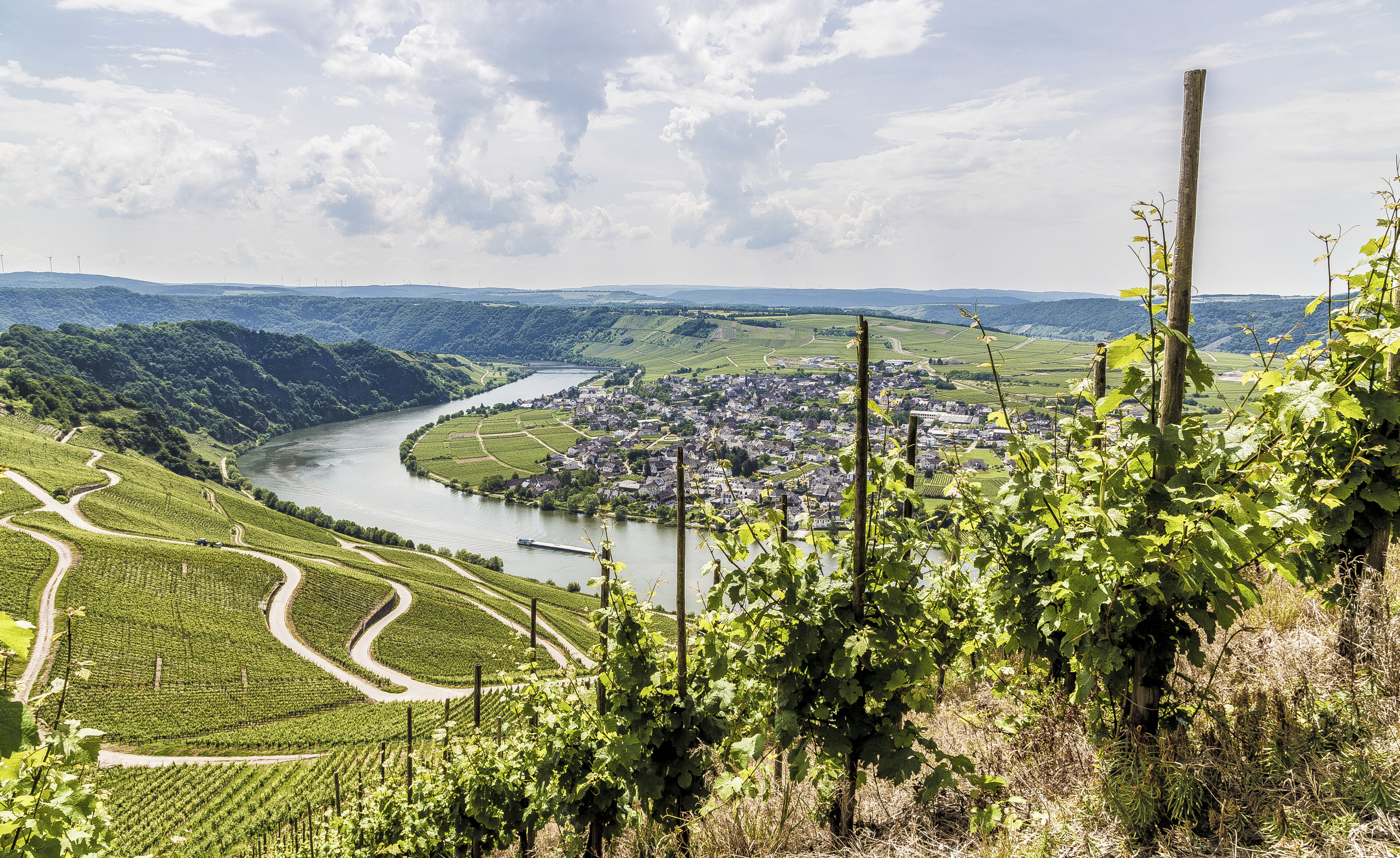 Piesport, Mosel