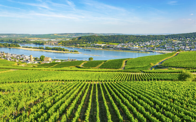 Rüdesheim in Deutschland auf einer Kreuzfahrt entdecken