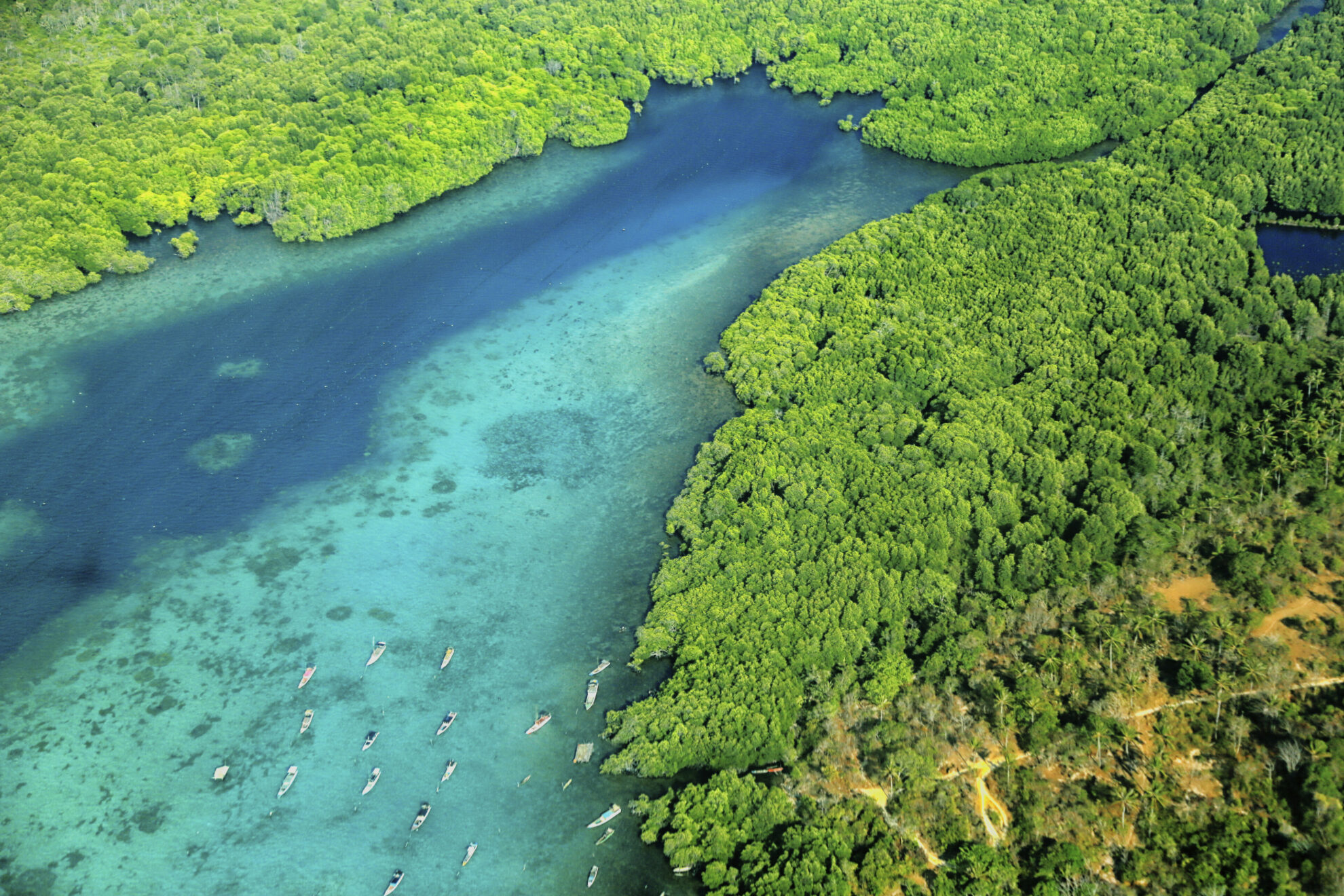 Java, Karimunjawa Inseln