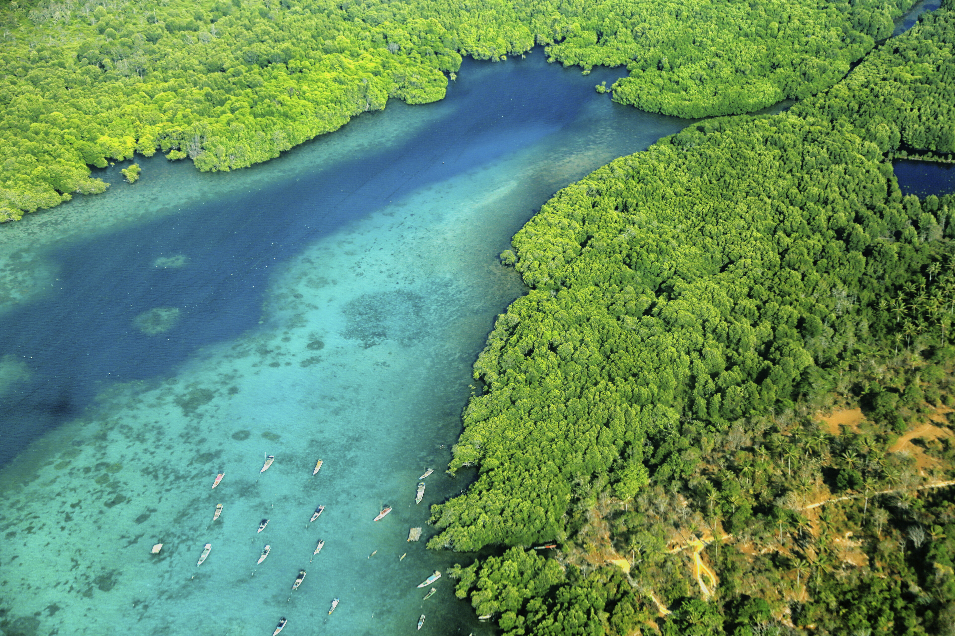 Java, Karimunjawa Inseln