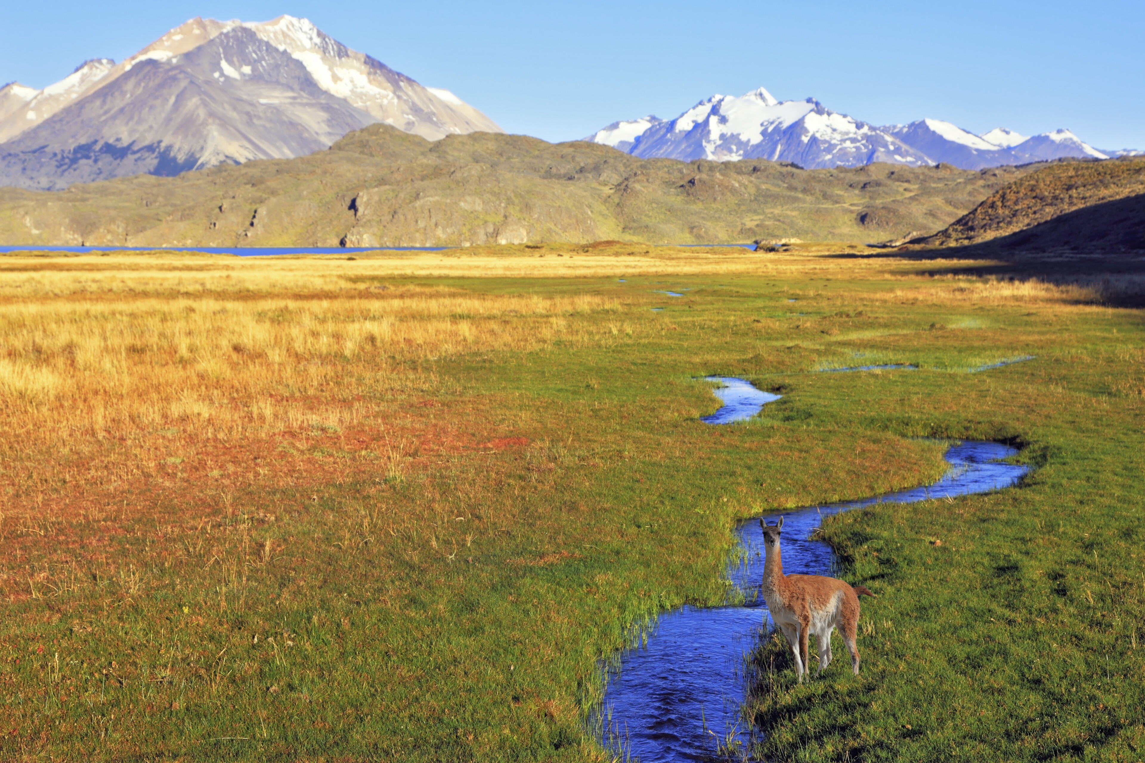 Landschaft Puerto Madryn, Estancia, Argentinien