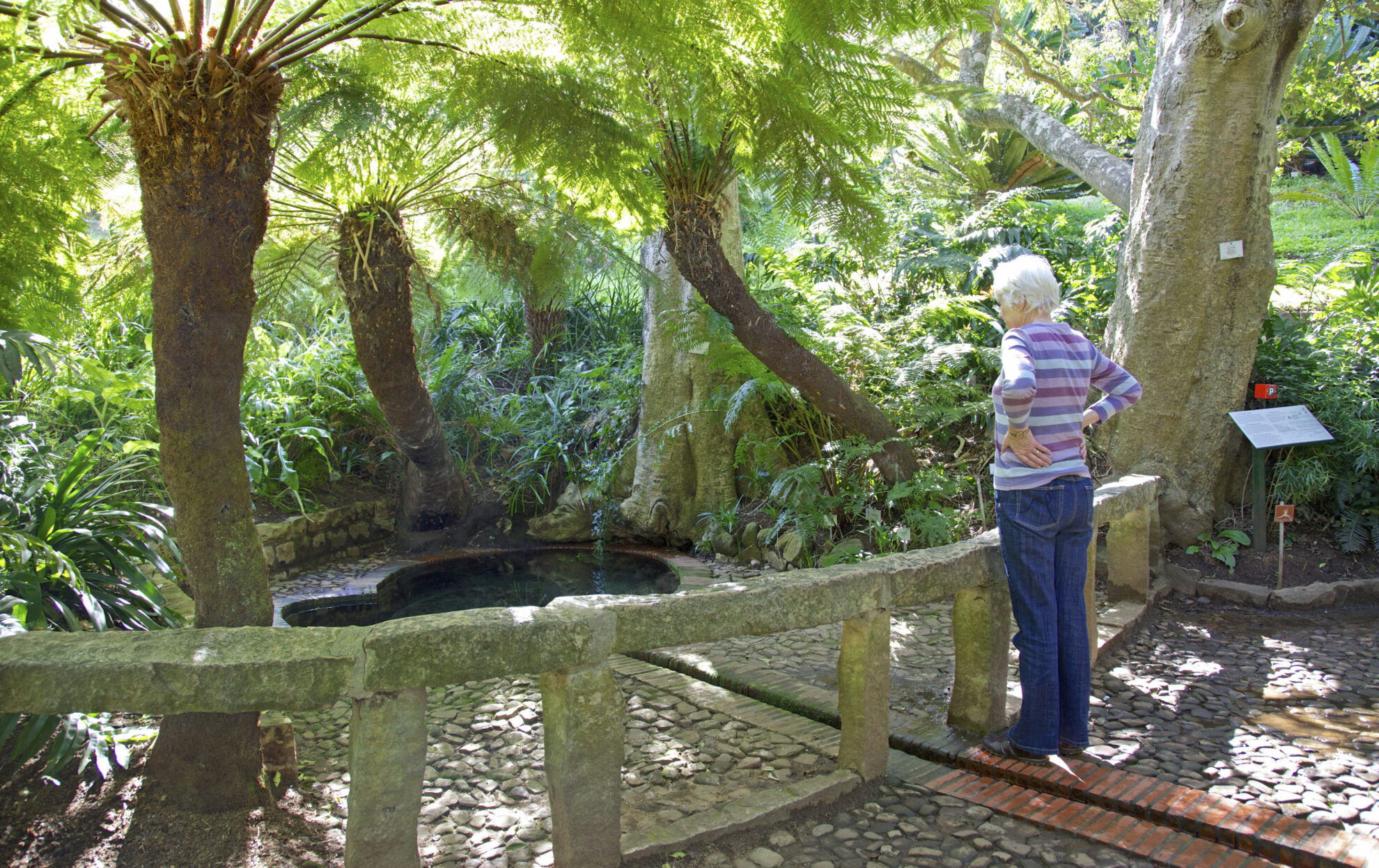 Botanischer Garten Kirstenbosch in Kapstadt, Südafrika